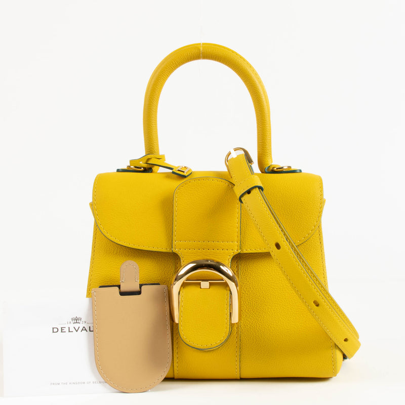 Delvaux Saffron Rodeo Calf Brillant Mini Bag