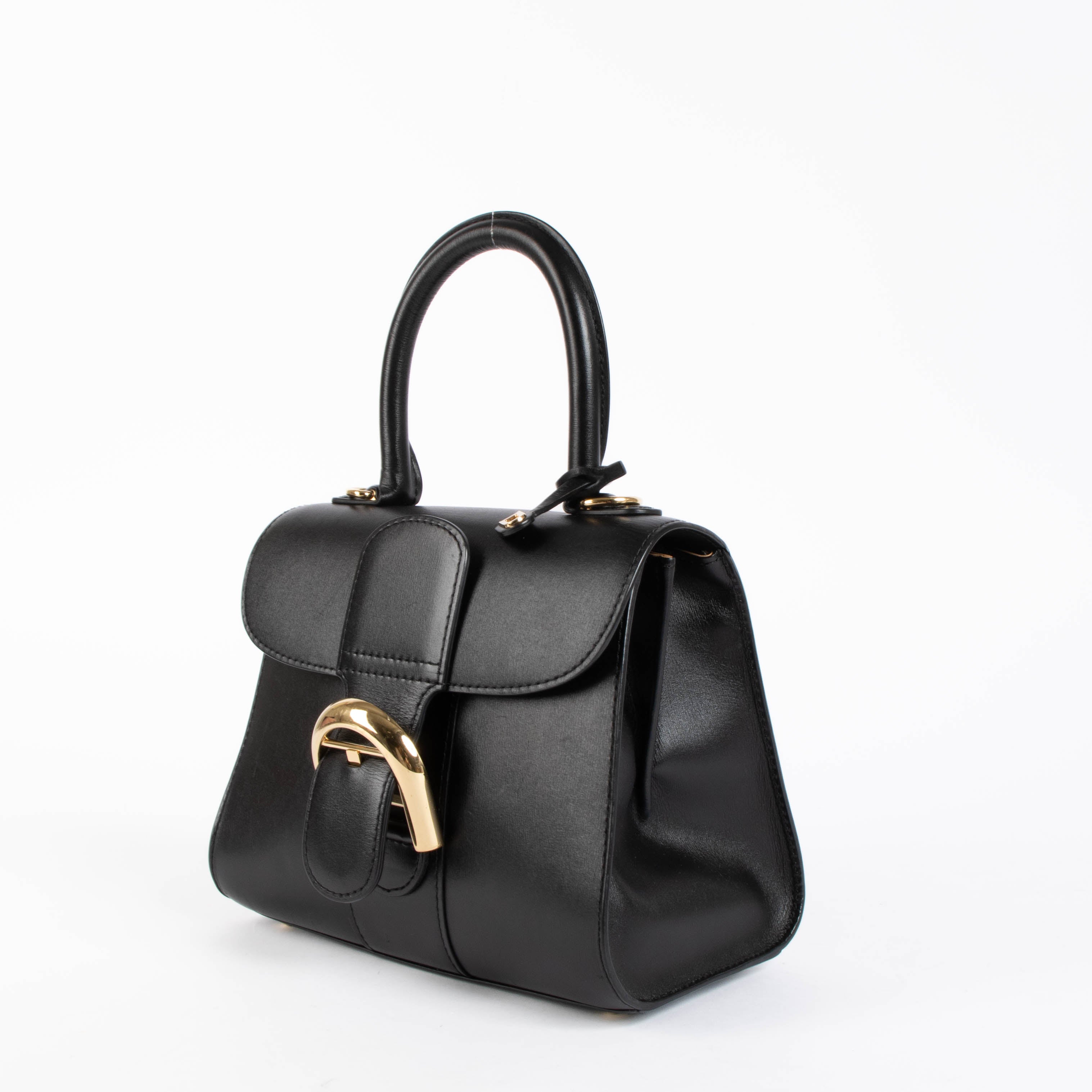 Delvaux Black Box Calf Brillant Mini Bag – Labellov