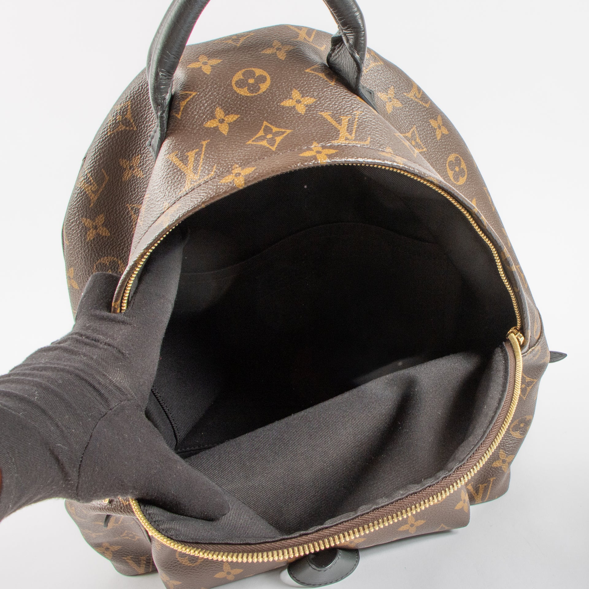 Louis Vuitton Monogram Palm Spring MM Backpack