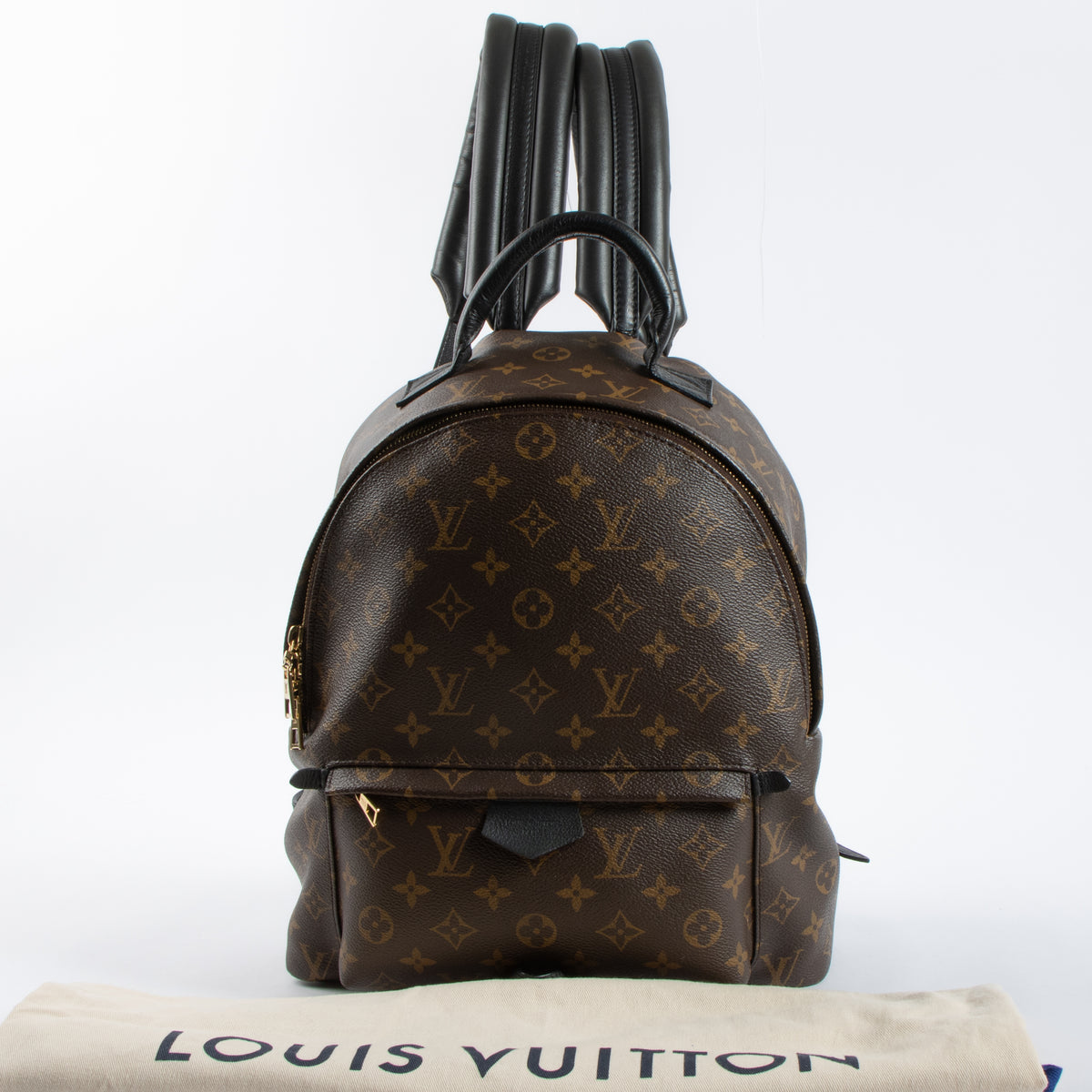 Louis Vuitton Monogram Palm Spring MM Backpack