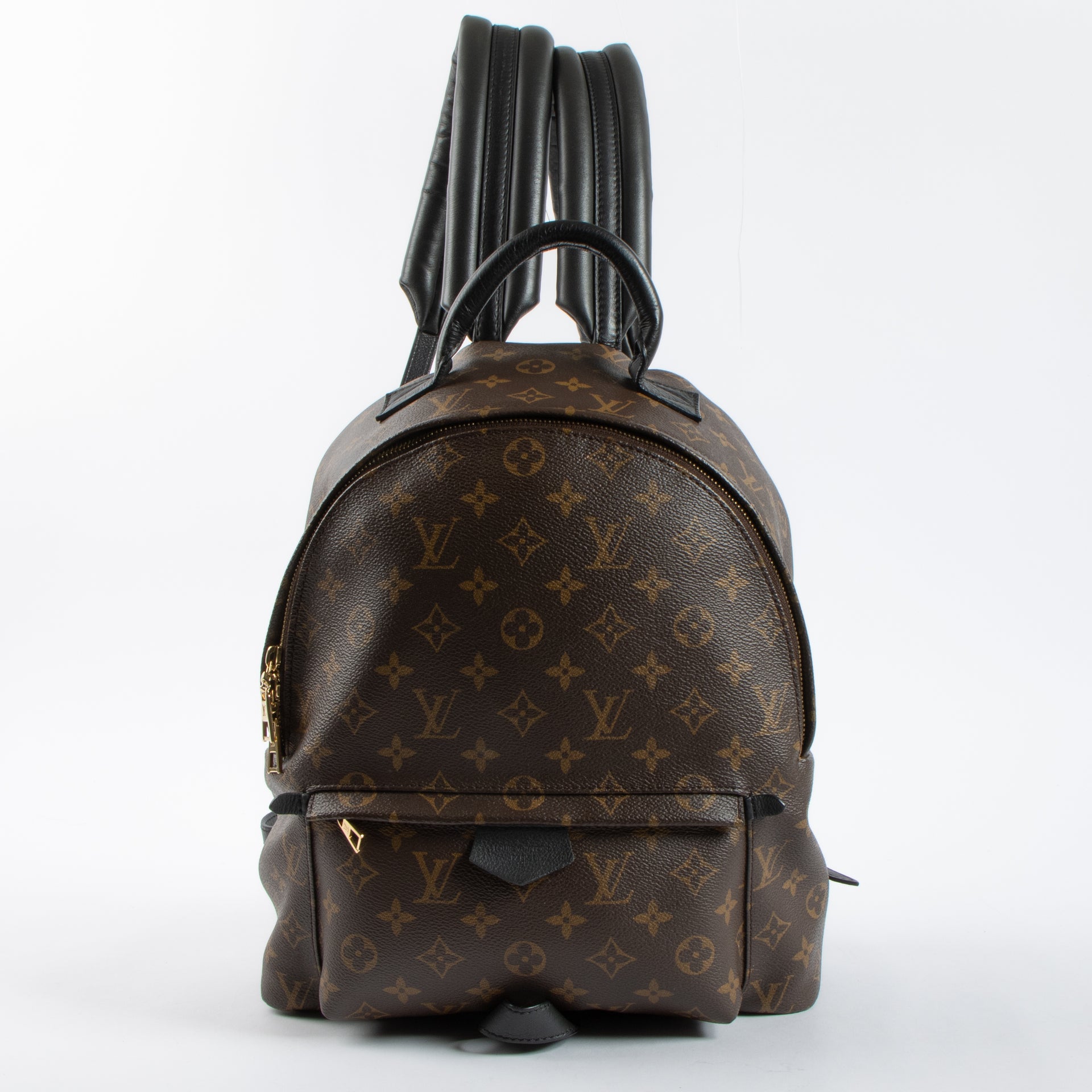 Louis Vuitton Monogram Palm Spring MM Backpack