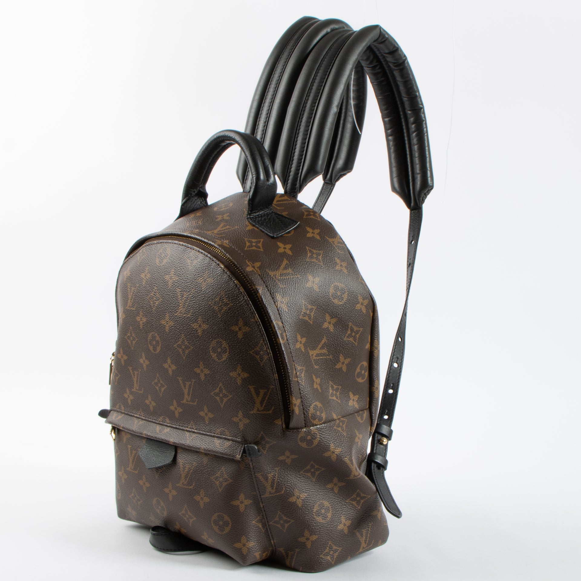 Louis Vuitton Monogram Palm Spring MM Backpack