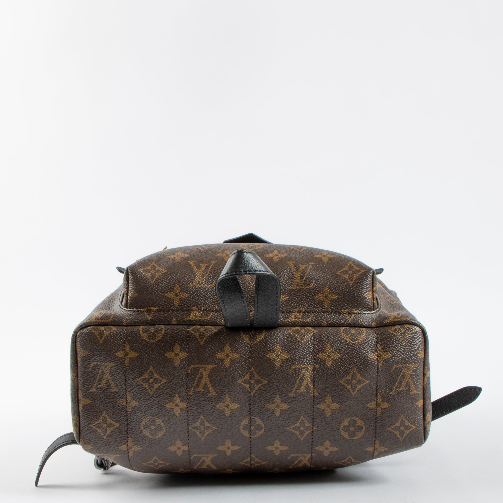 Louis Vuitton Monogram Palm Spring MM Backpack