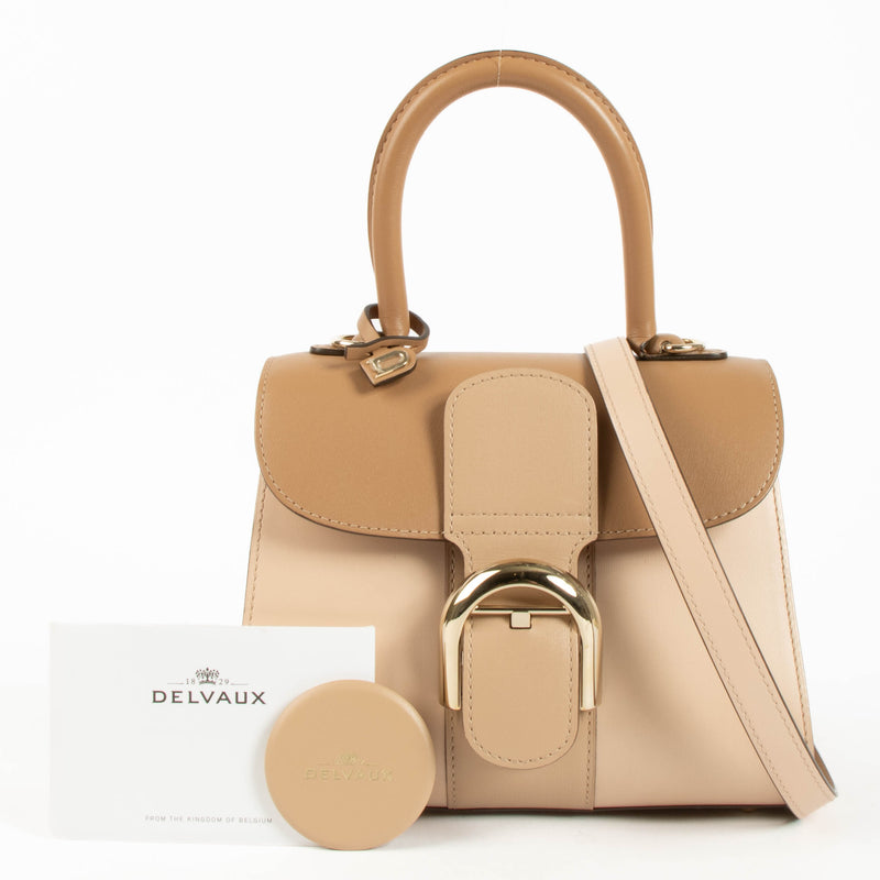 Delvaux Nude Box Calf Camaieux Brillant Mini Bag