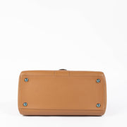 Shop this authentic Delvaux Vegetal Sellier Brillant MM pre-loved on Labellov.com 