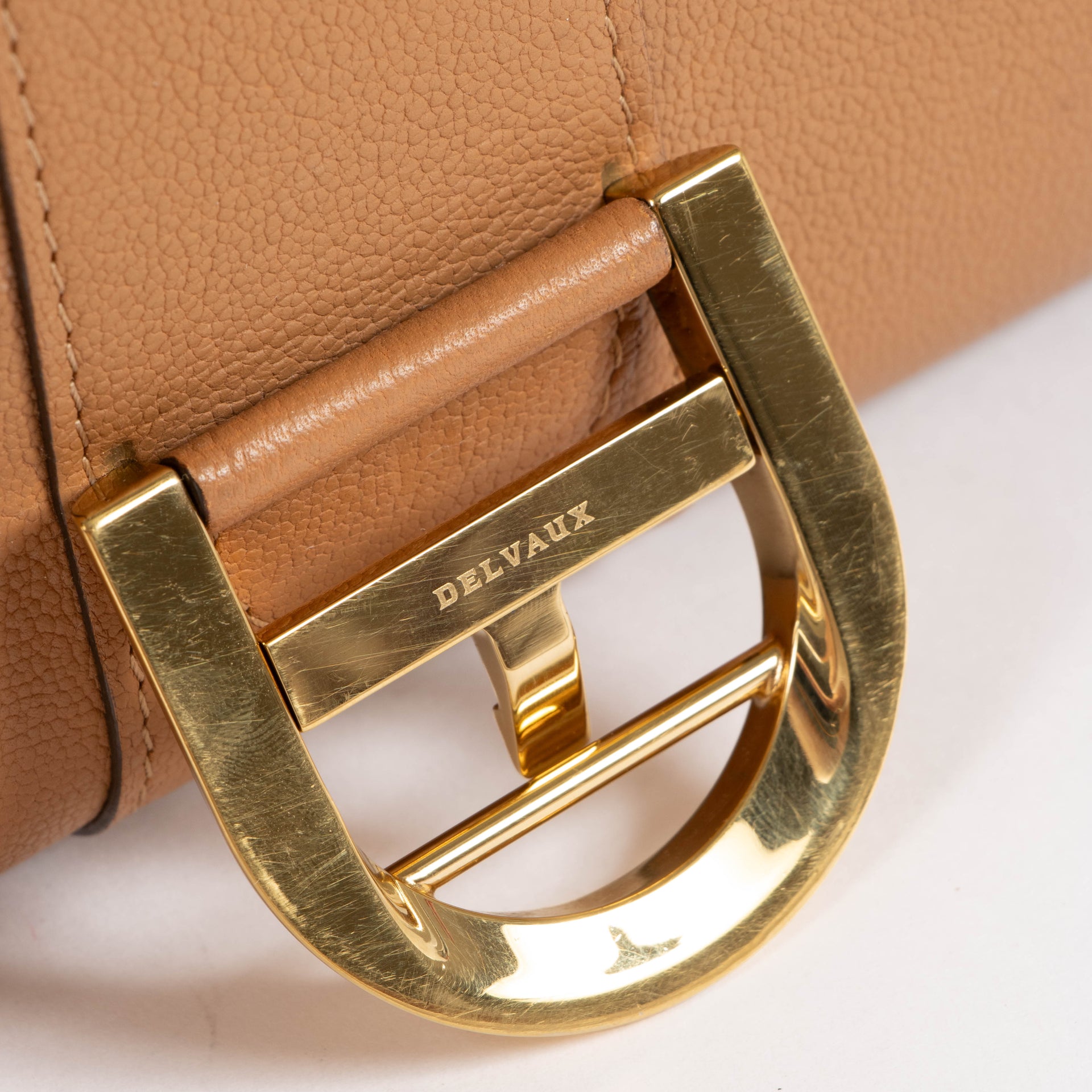 Delvaux Vegetal Rodeo Calf Brillant Mini Bag
