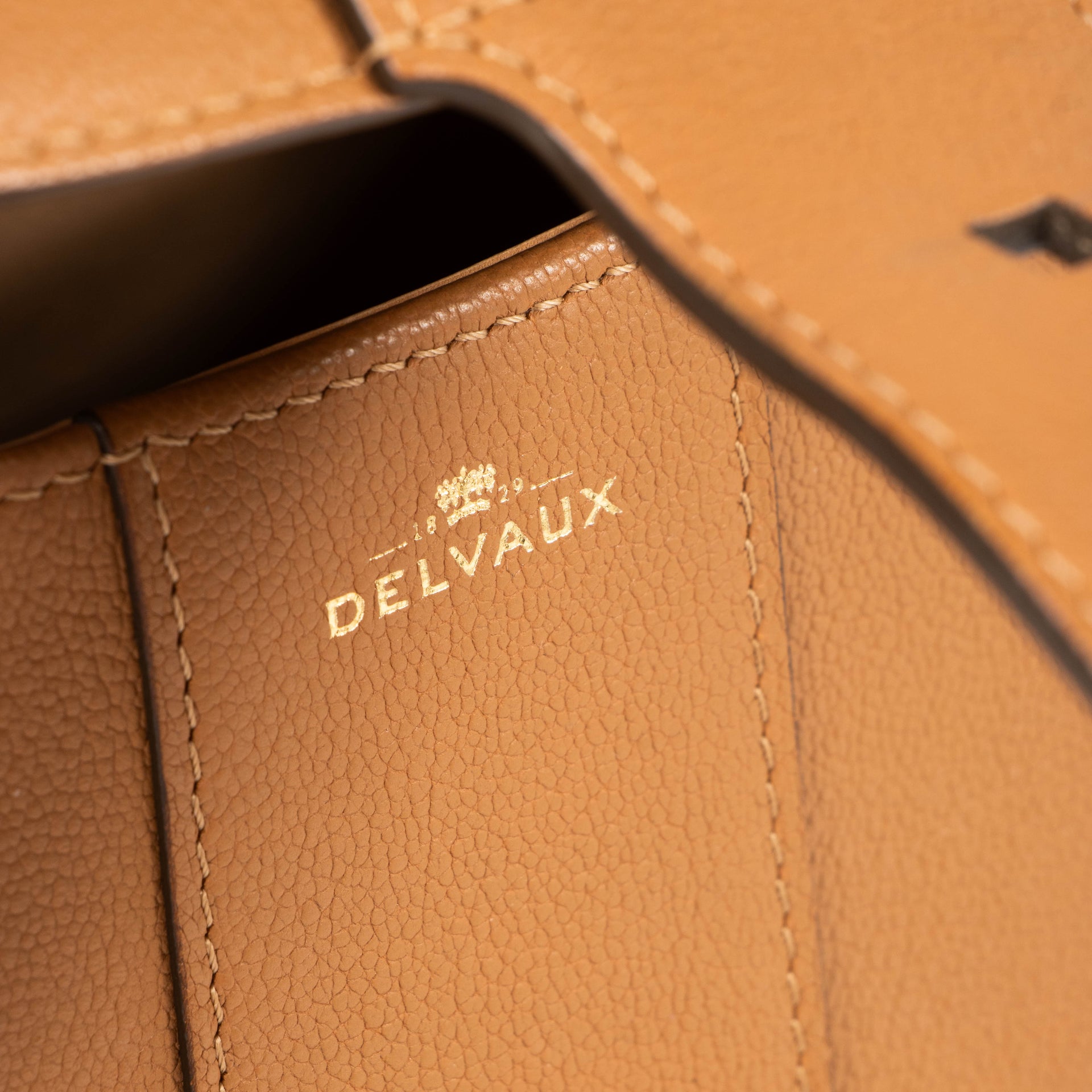Delvaux Vegetal Rodeo Calf Brillant Mini Bag