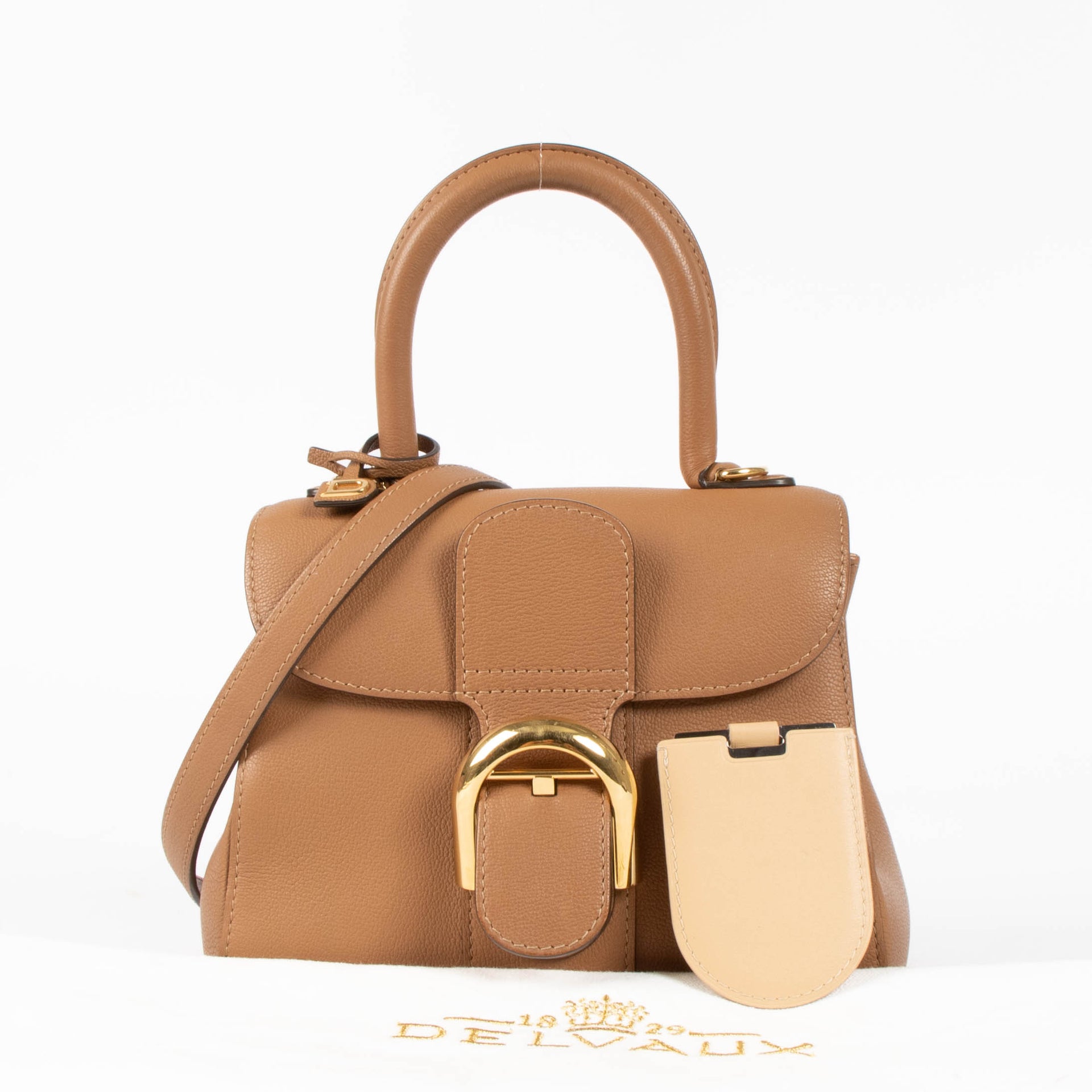 Delvaux Vegetal Rodeo Calf Brillant Mini Bag