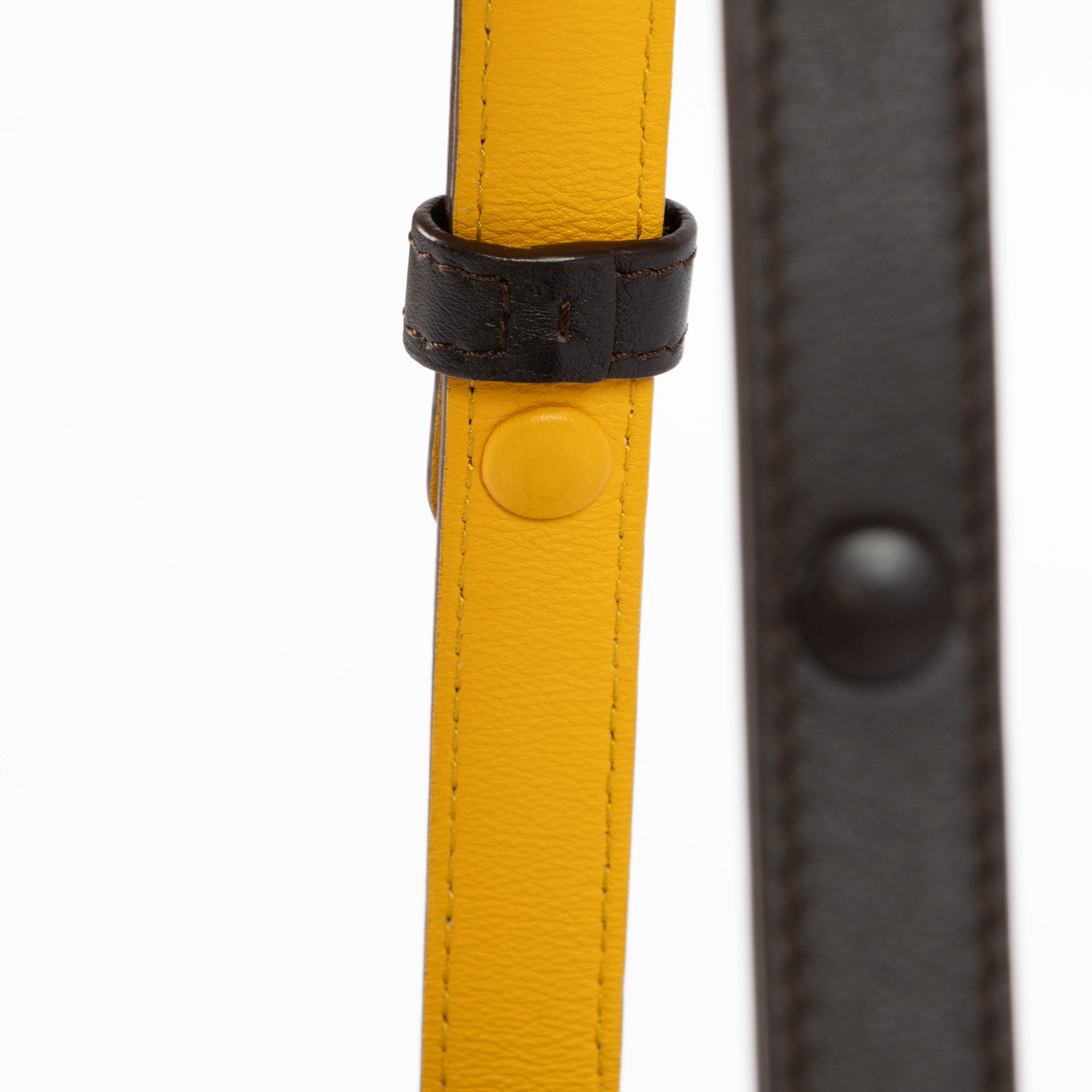 Delvaux Multicolor Madame Mini Bag