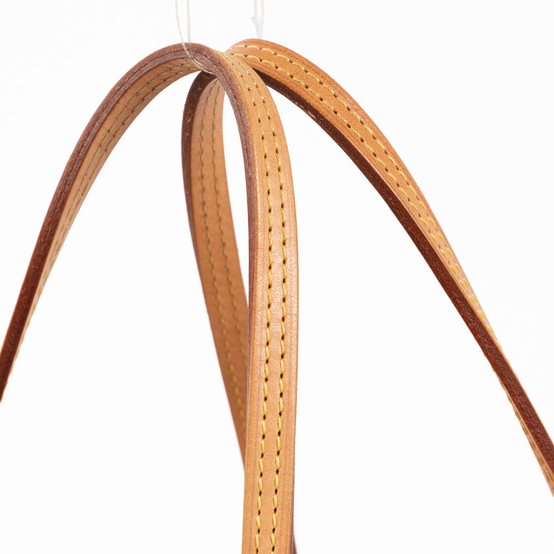 Louis Vuitton Monogram Neverfull PM