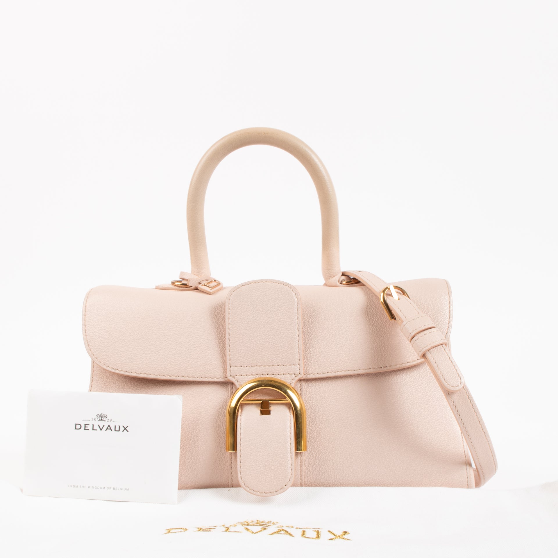 Delvaux Nude Rodeo Calf Brillant East West Mini Bag