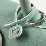 Shop the 100% authentic Delvaux Lagon Rodeo Calf Brillant Mini Bag second hand on Labellov.com!