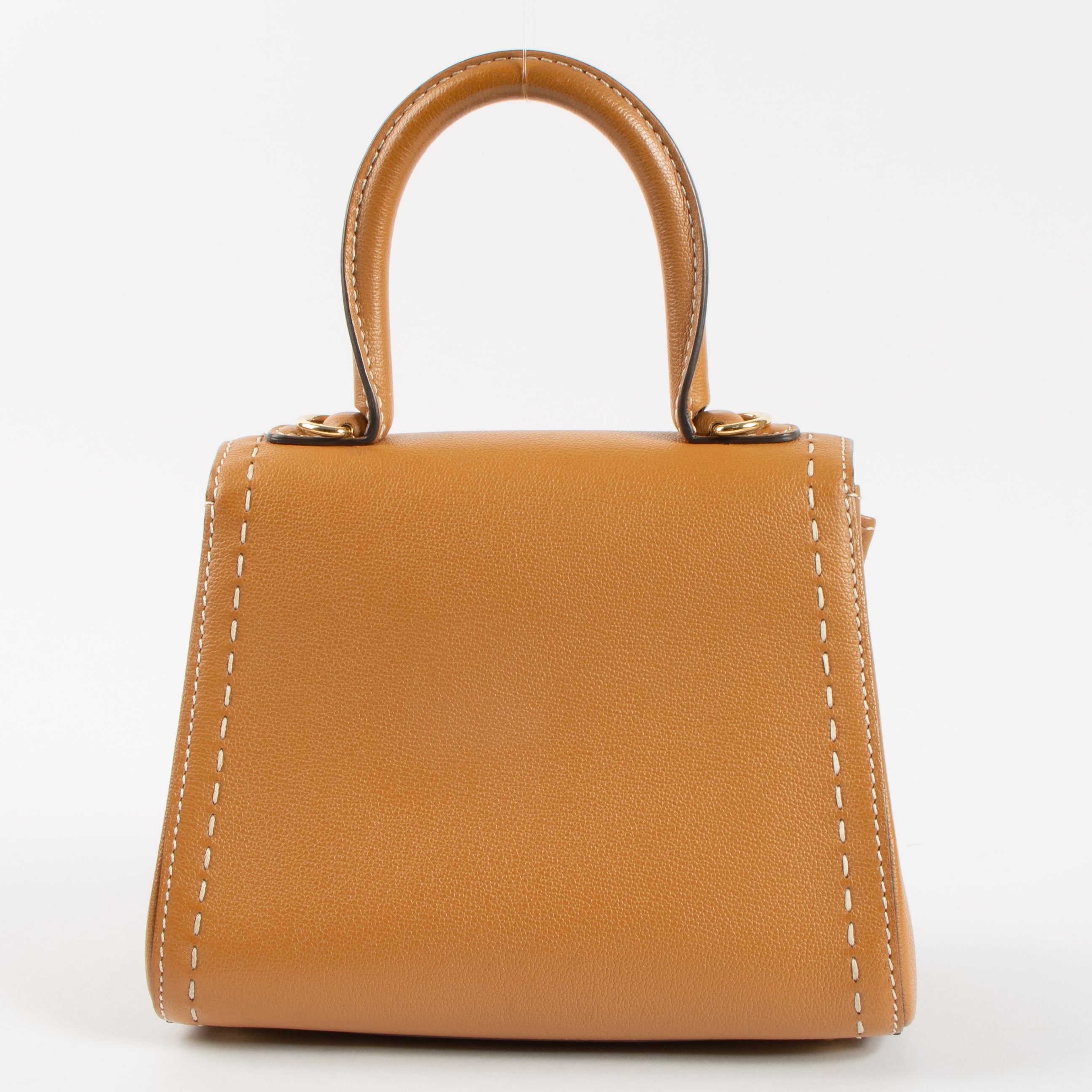 Delvaux Vegetal Rodeo Calf Brillant Mini Bag – Labellov