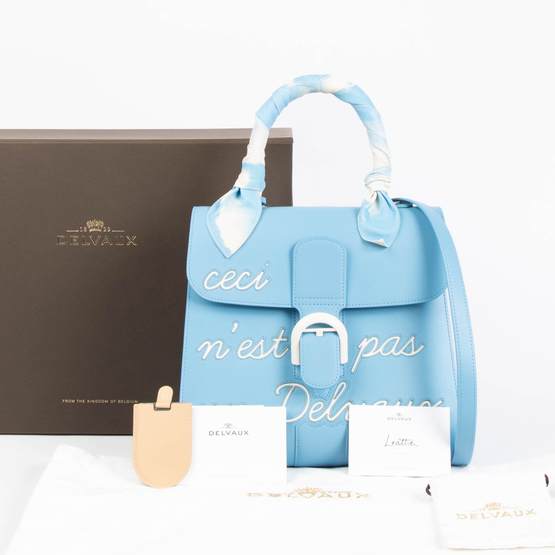Delvaux Ciel Box Calf Brillant L'Humour MM