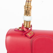 Shop this 100% authentic Delvaux Framboise Box Calf Brillant Mini Jaipur at Labellov.com