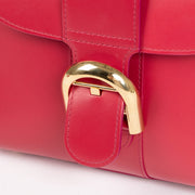 Shop this 100% authentic Delvaux Framboise Box Calf Brillant Mini Jaipur at Labellov.com