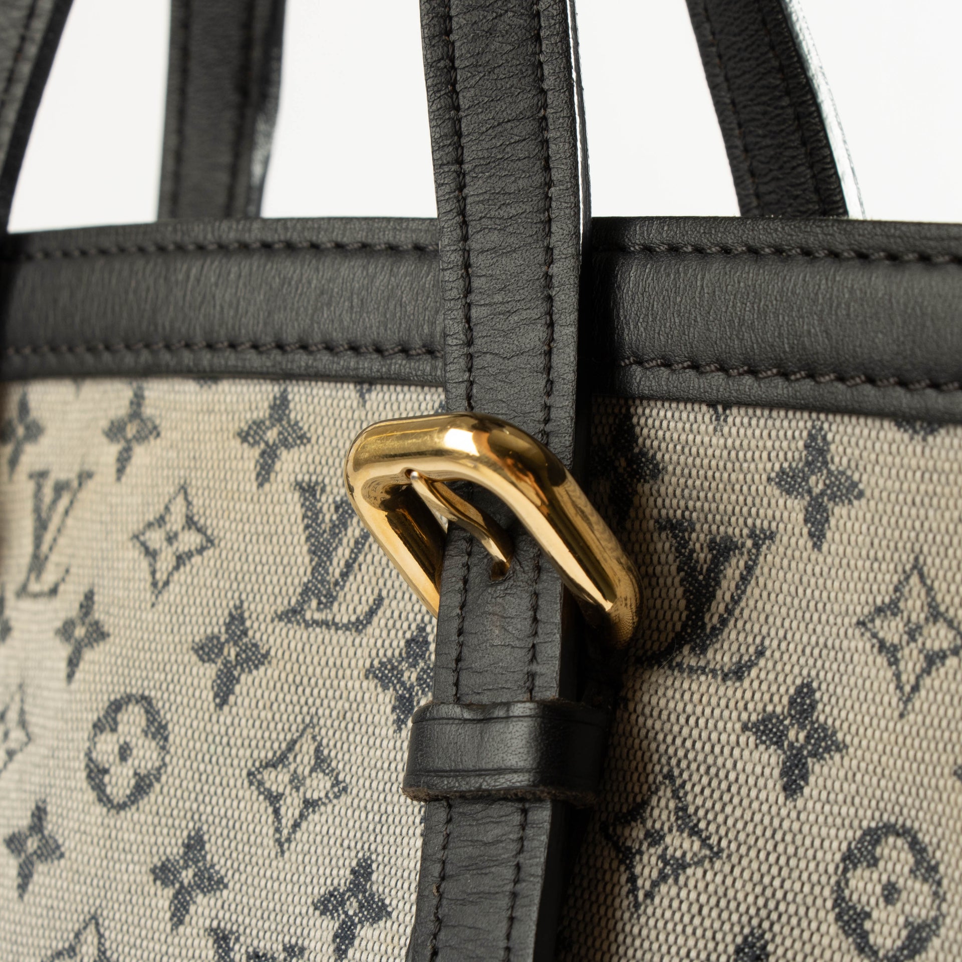 Louis Vuitton Monogram Mini Lin Francoise Bag