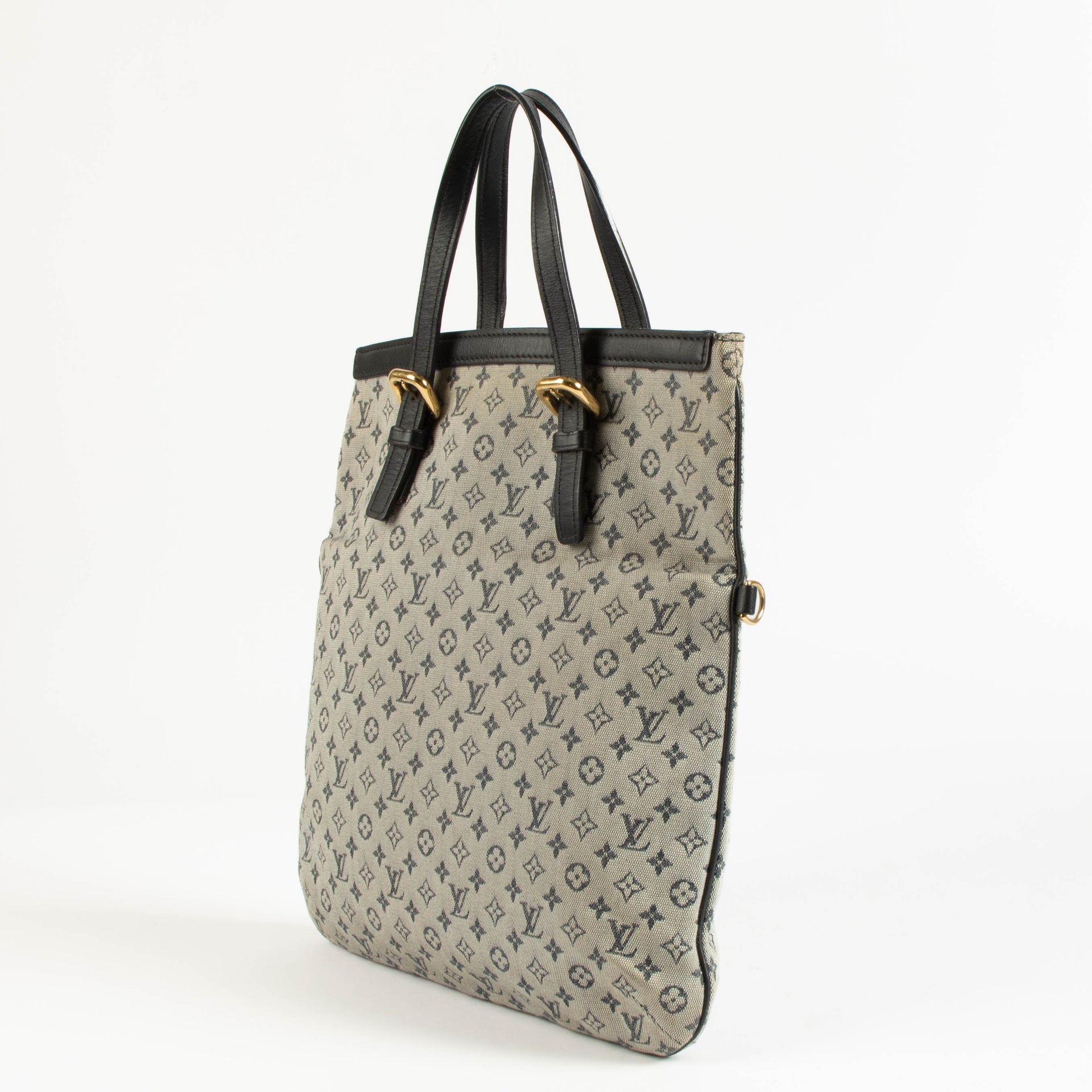 Louis Vuitton Monogram Mini Lin Francoise Bag