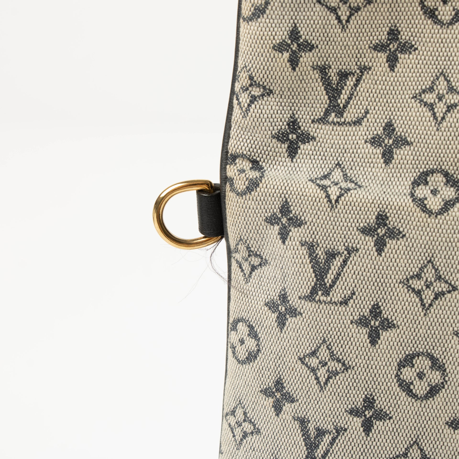 Louis Vuitton Monogram Mini Lin Francoise Bag