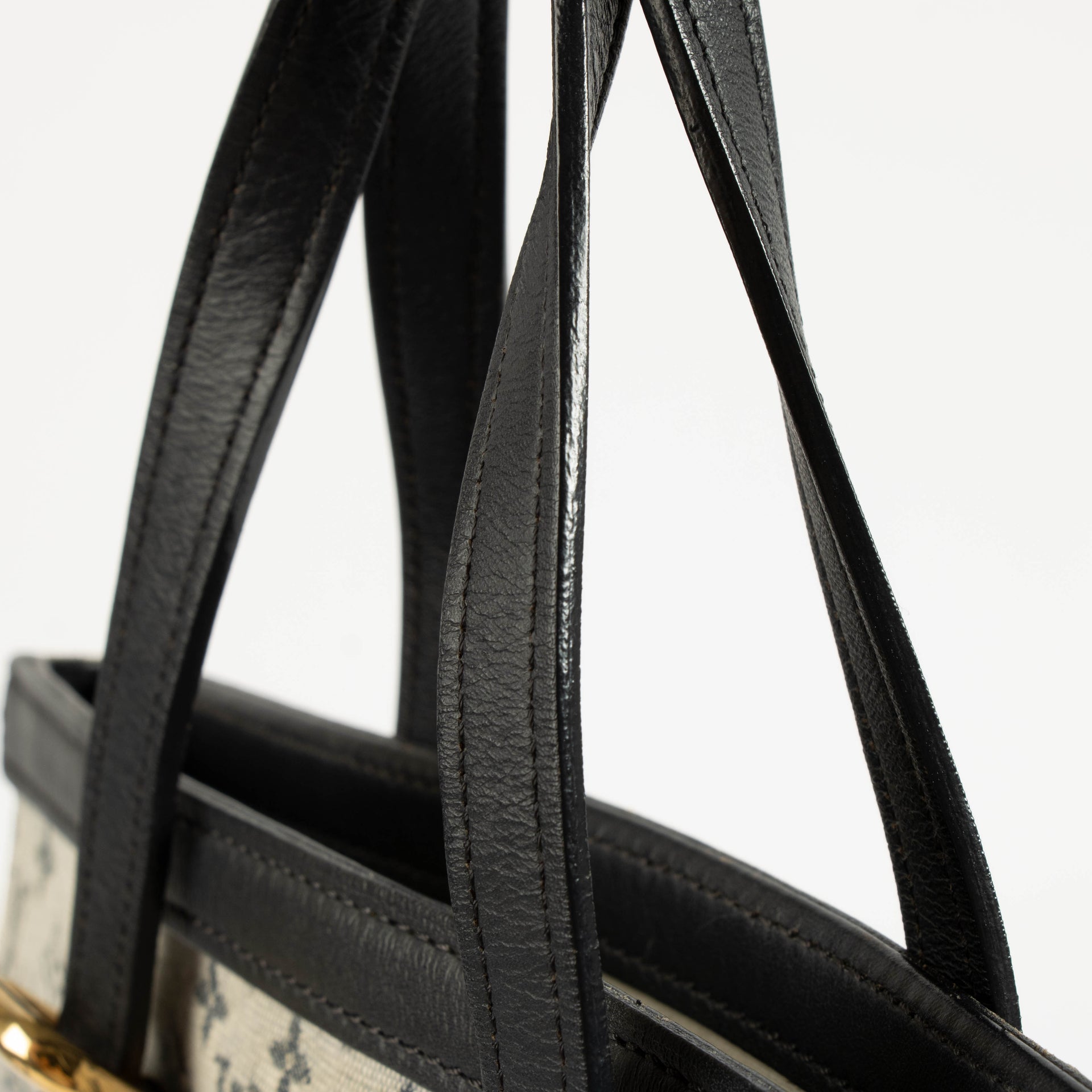 Louis Vuitton Monogram Mini Lin Francoise Bag