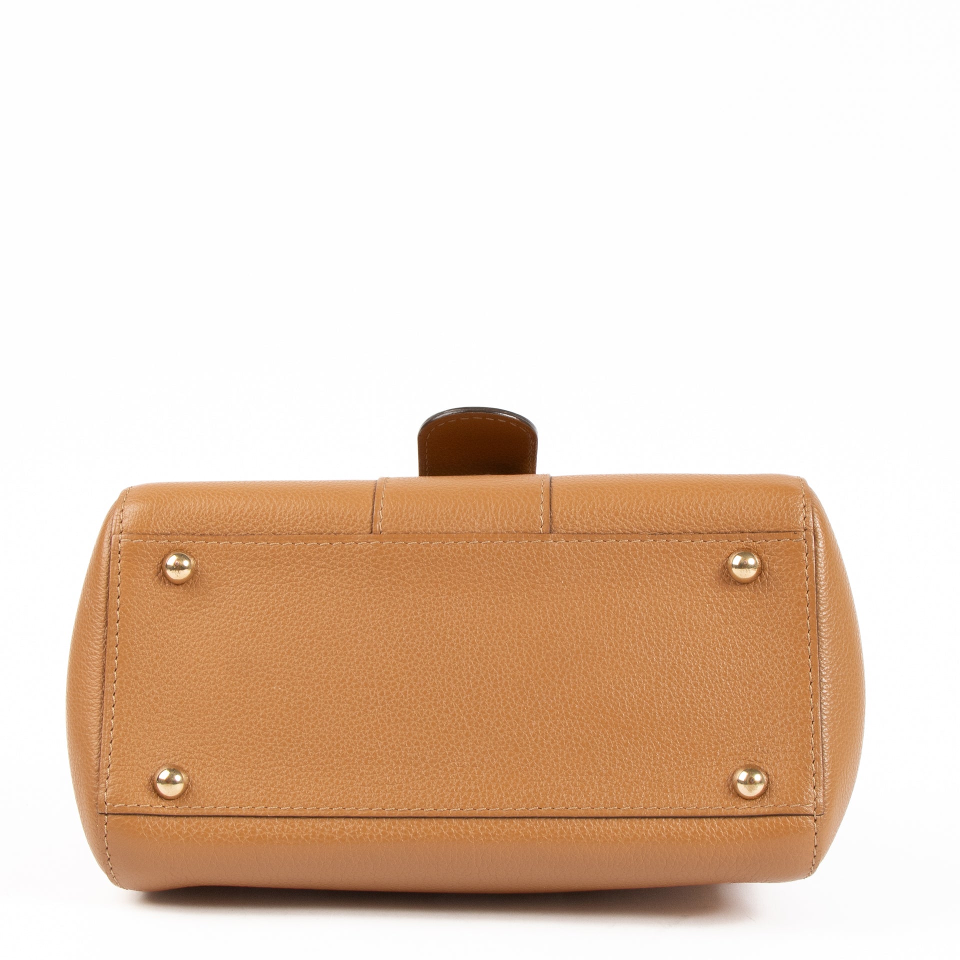 Delvaux Vegetal Sellier Brillant Mini Bag