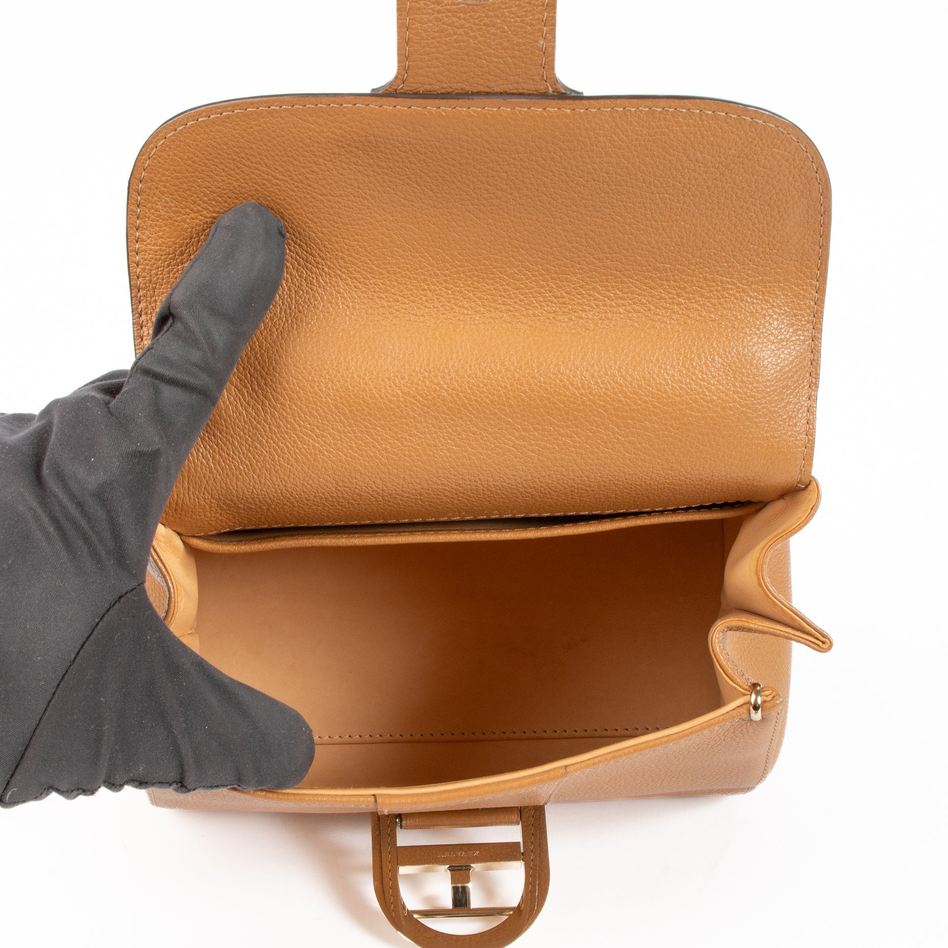Delvaux Vegetal Sellier Brillant Mini Bag