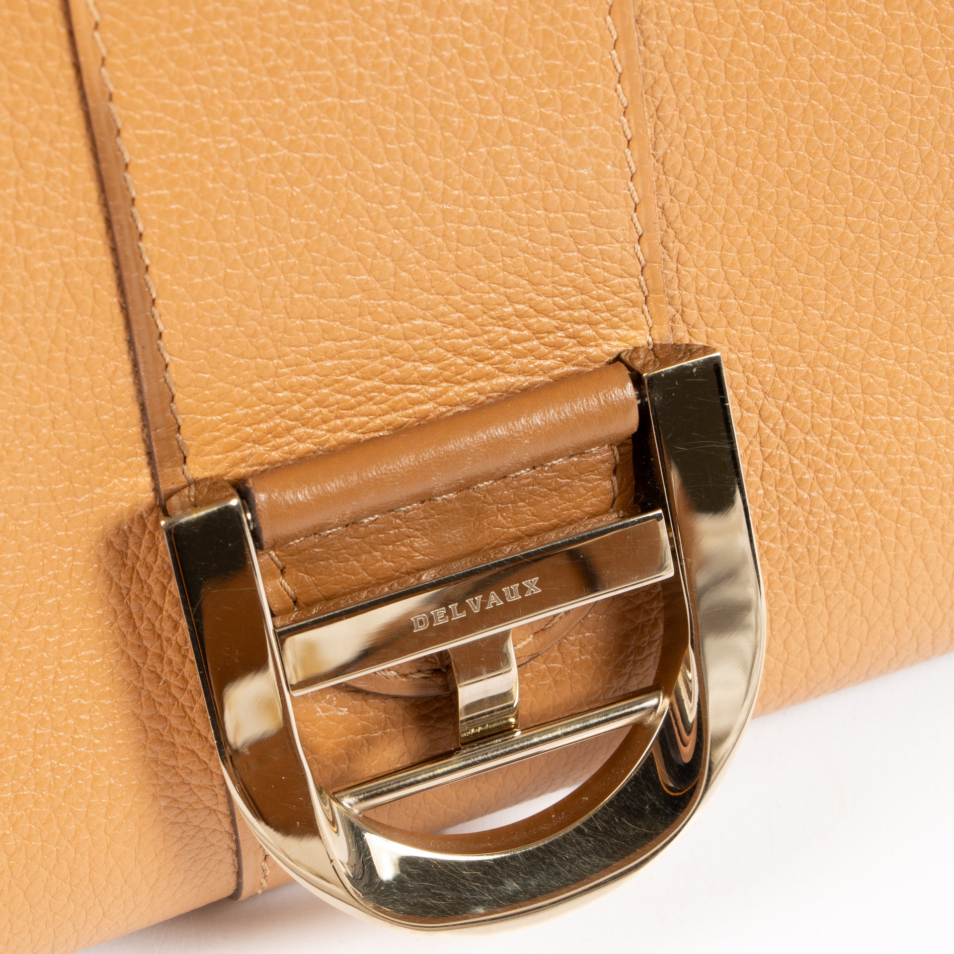 Delvaux Vegetal Sellier Brillant Mini Bag