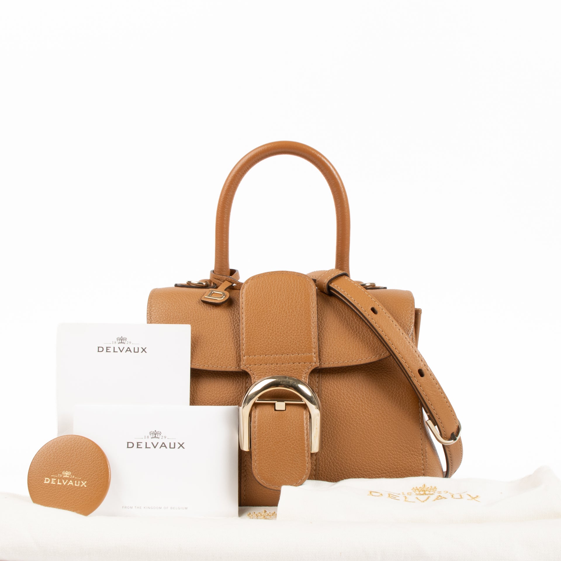 Delvaux Vegetal Sellier Brillant Mini Bag