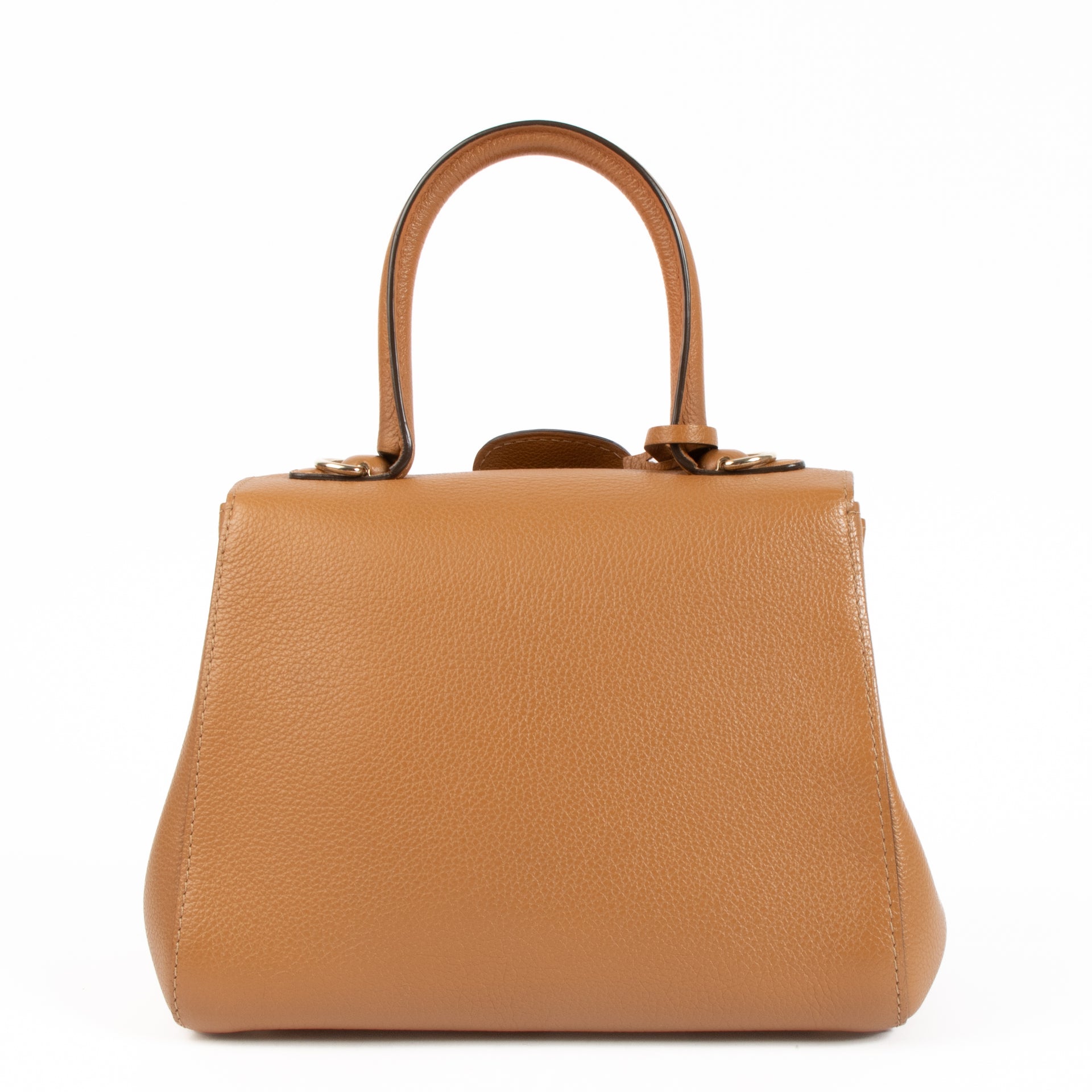 Delvaux Vegetal Sellier Brillant Mini Bag