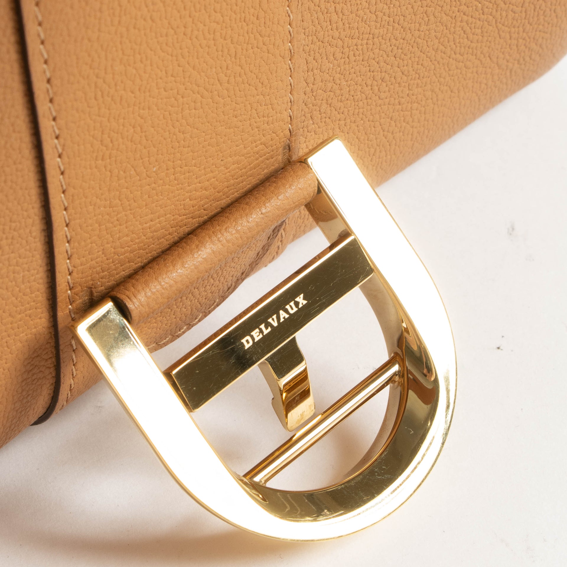 Delvaux Vegetal Rodeo Calf Brillant Mini Bag