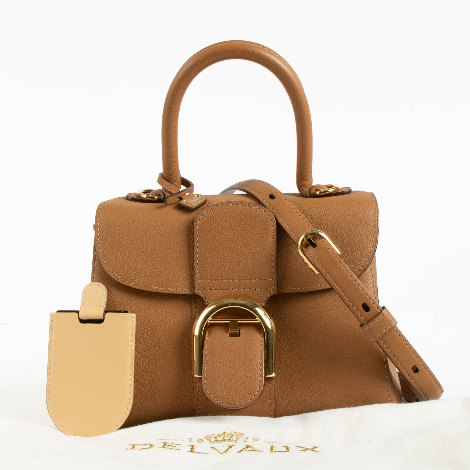 Delvaux Vegetal Rodeo Calf Brillant Mini Bag