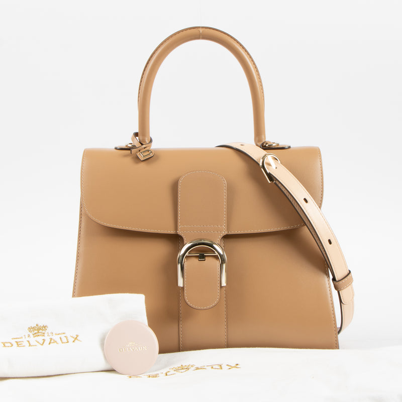Delvaux Vison Box Calf Magic Brillant MM Bag
