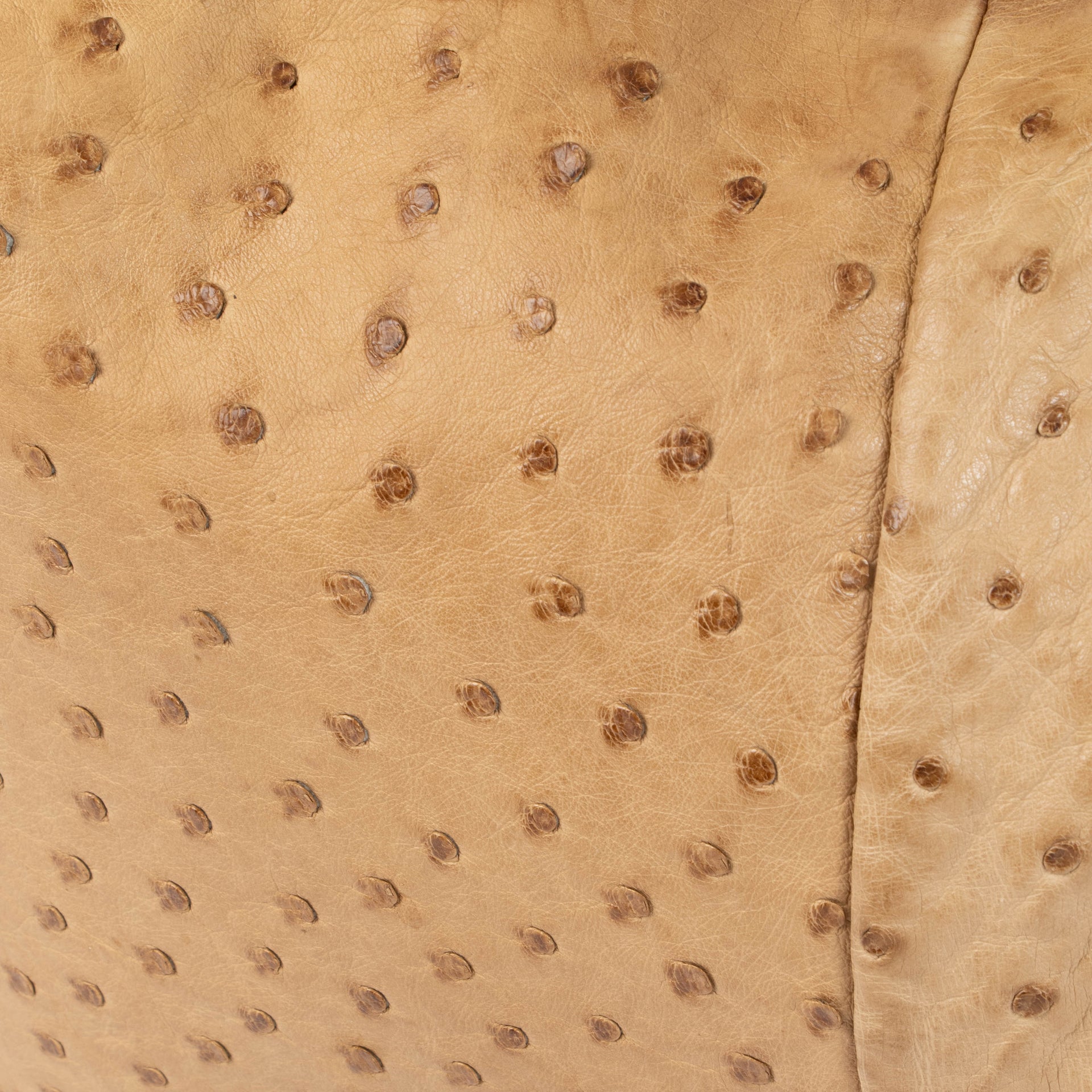 Shop this 100% authentic Gucci Beige Ostrich Small Horsebit Hobo Bag at Labellov.com.