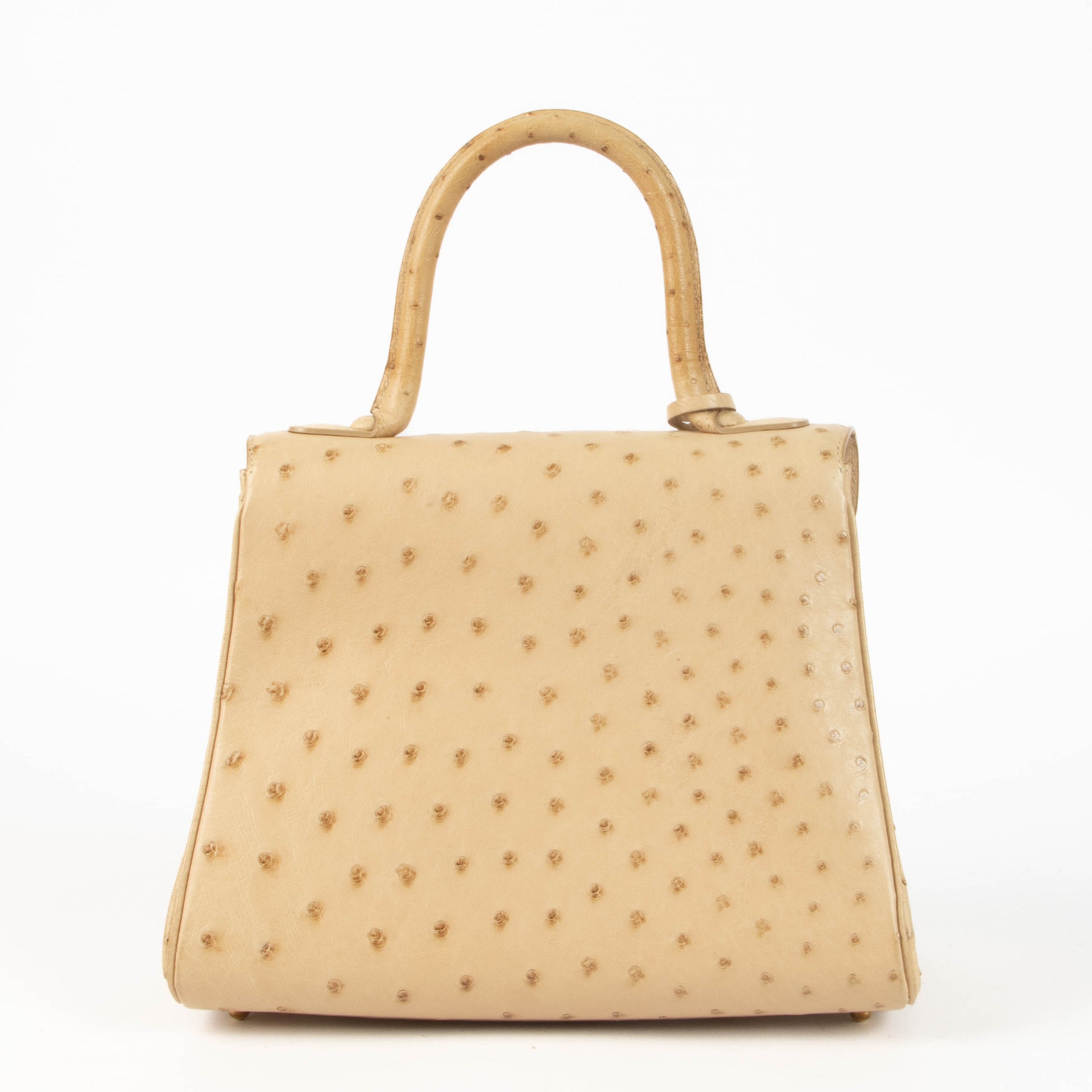 Delvaux Orge Ostrich Brillant PM