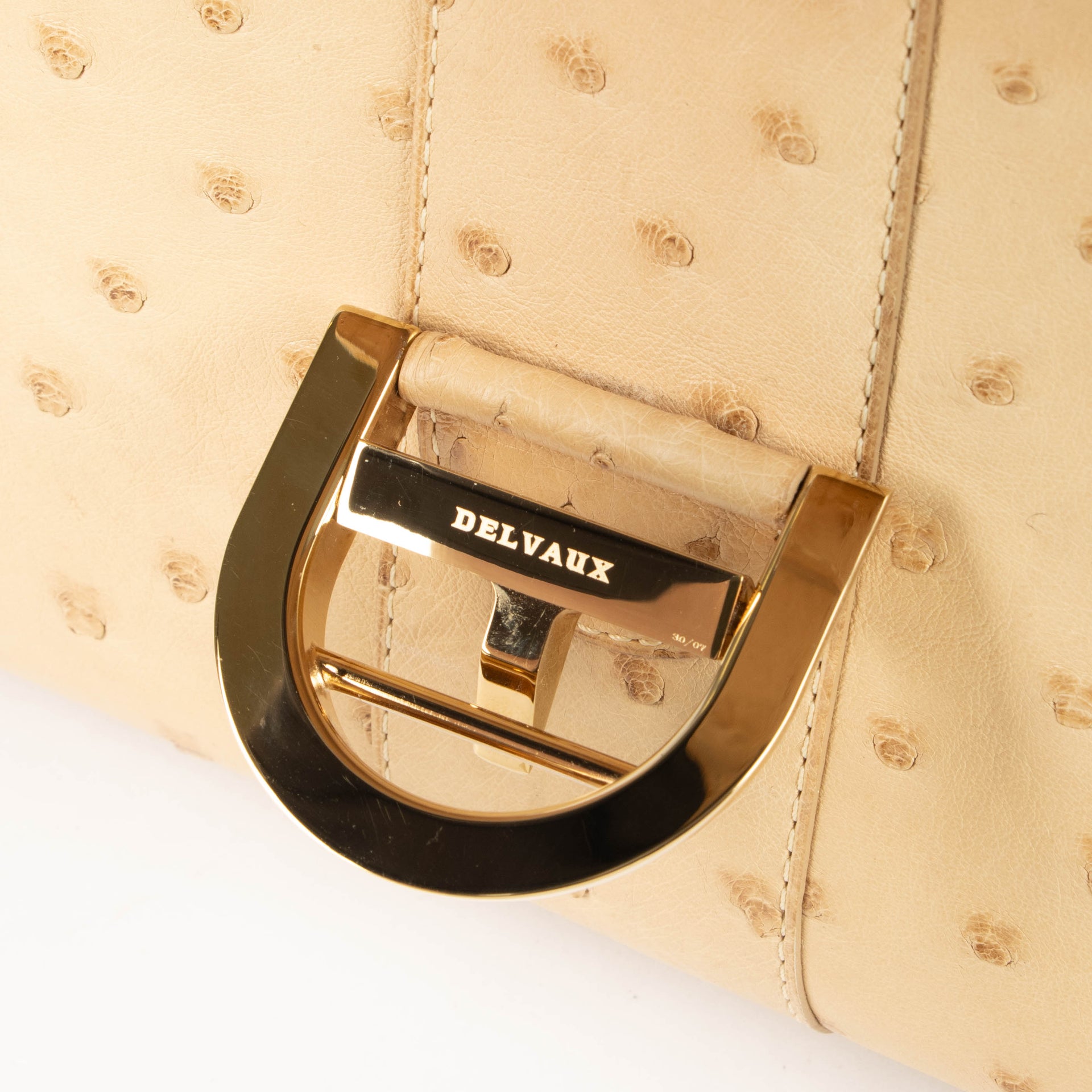 Delvaux Orge Ostrich Brillant PM