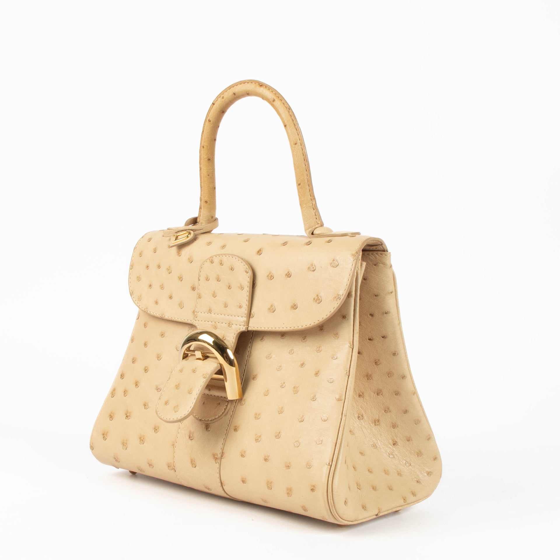 Delvaux Orge Ostrich Brillant PM
