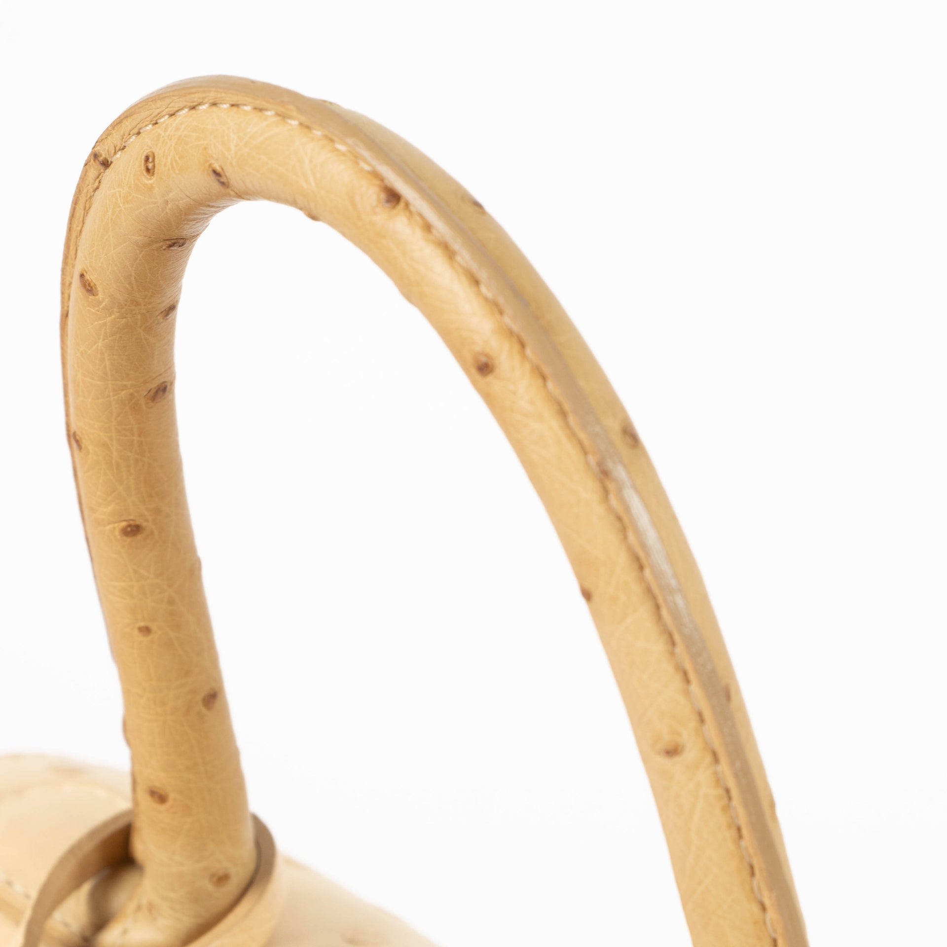 Delvaux Orge Ostrich Brillant PM