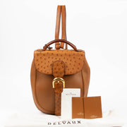 Shop this authentic Delvaux Brandy Cristel de Roche Autruche pre-loved on Labellov.com 