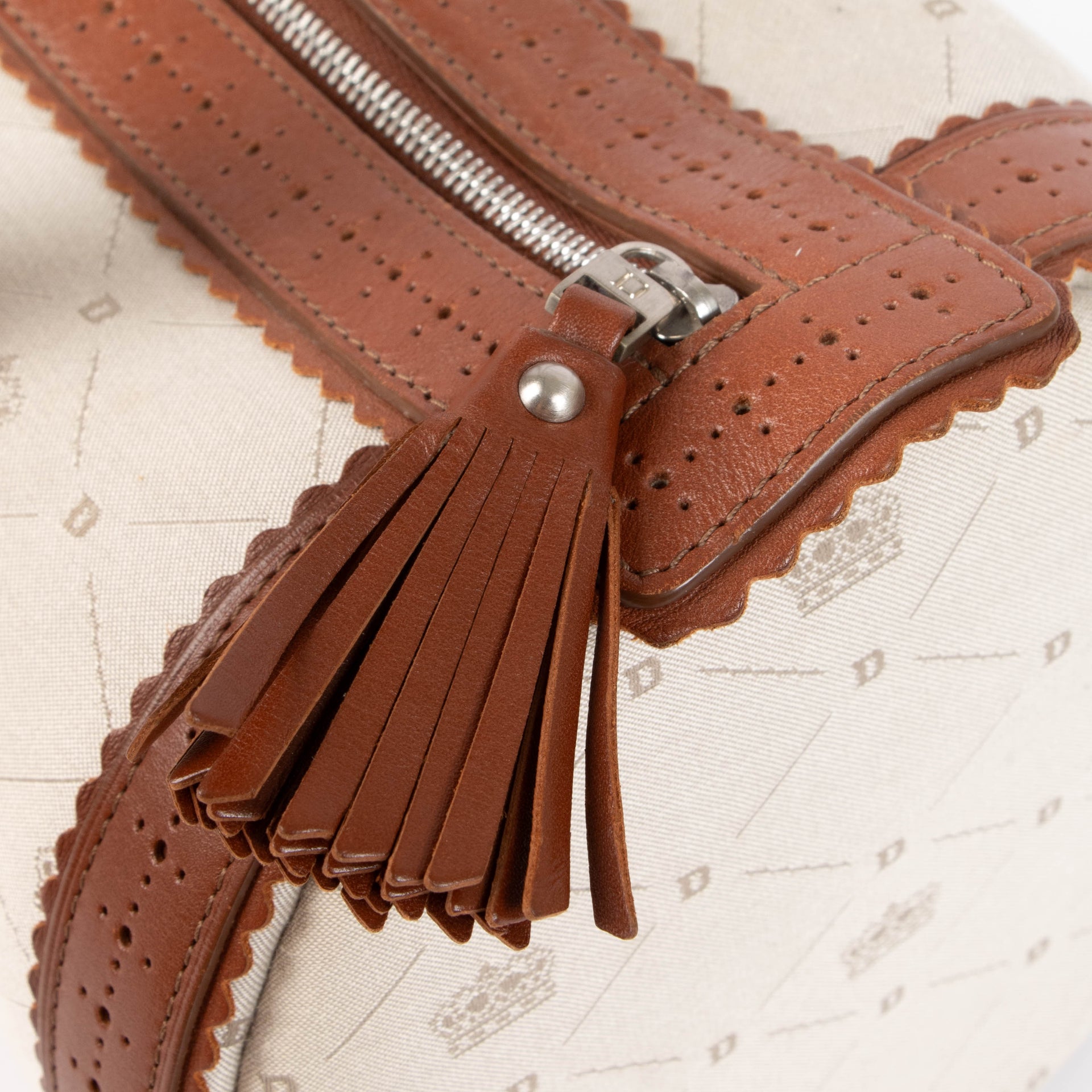 Delvaux Canvas Lily PM Bag
