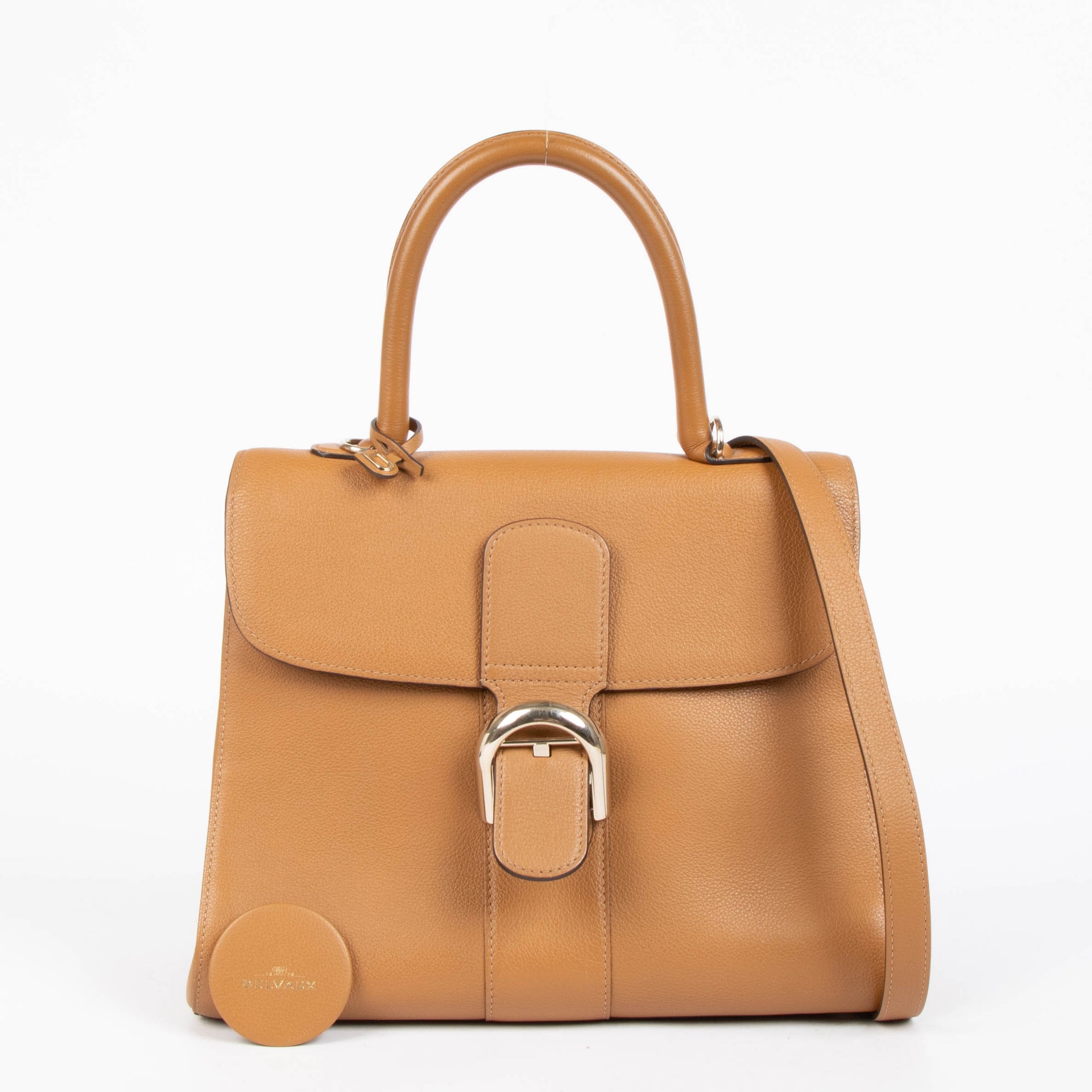 Delvaux Vegetal Sellier Brillant MM Bag