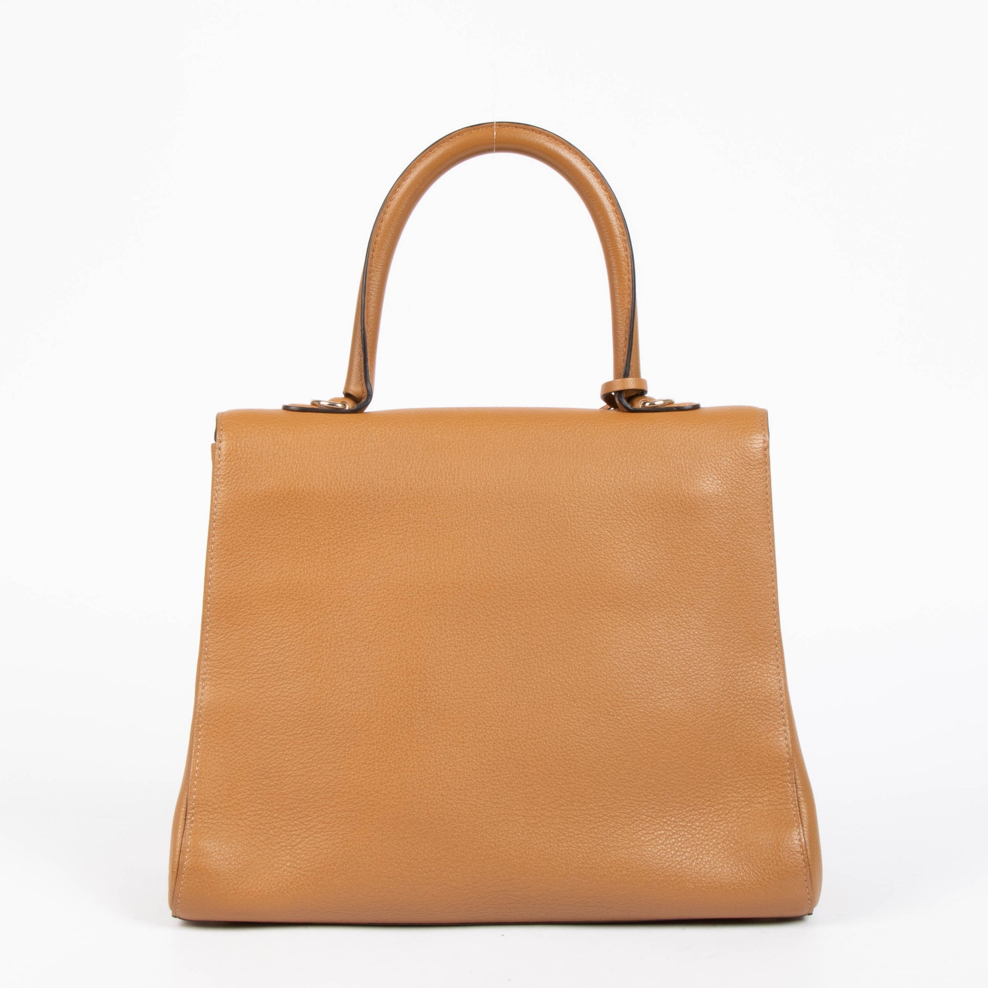 Delvaux Vegetal Sellier Brillant MM Bag