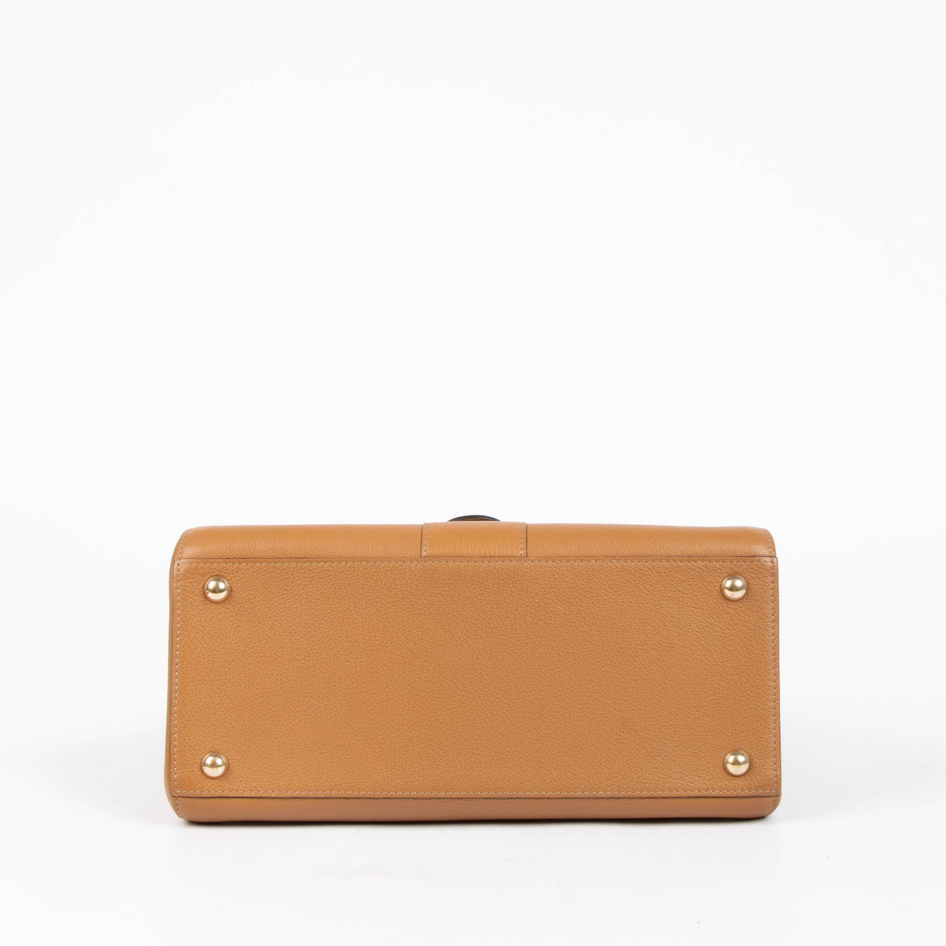 Delvaux Vegetal Sellier Brillant MM Bag