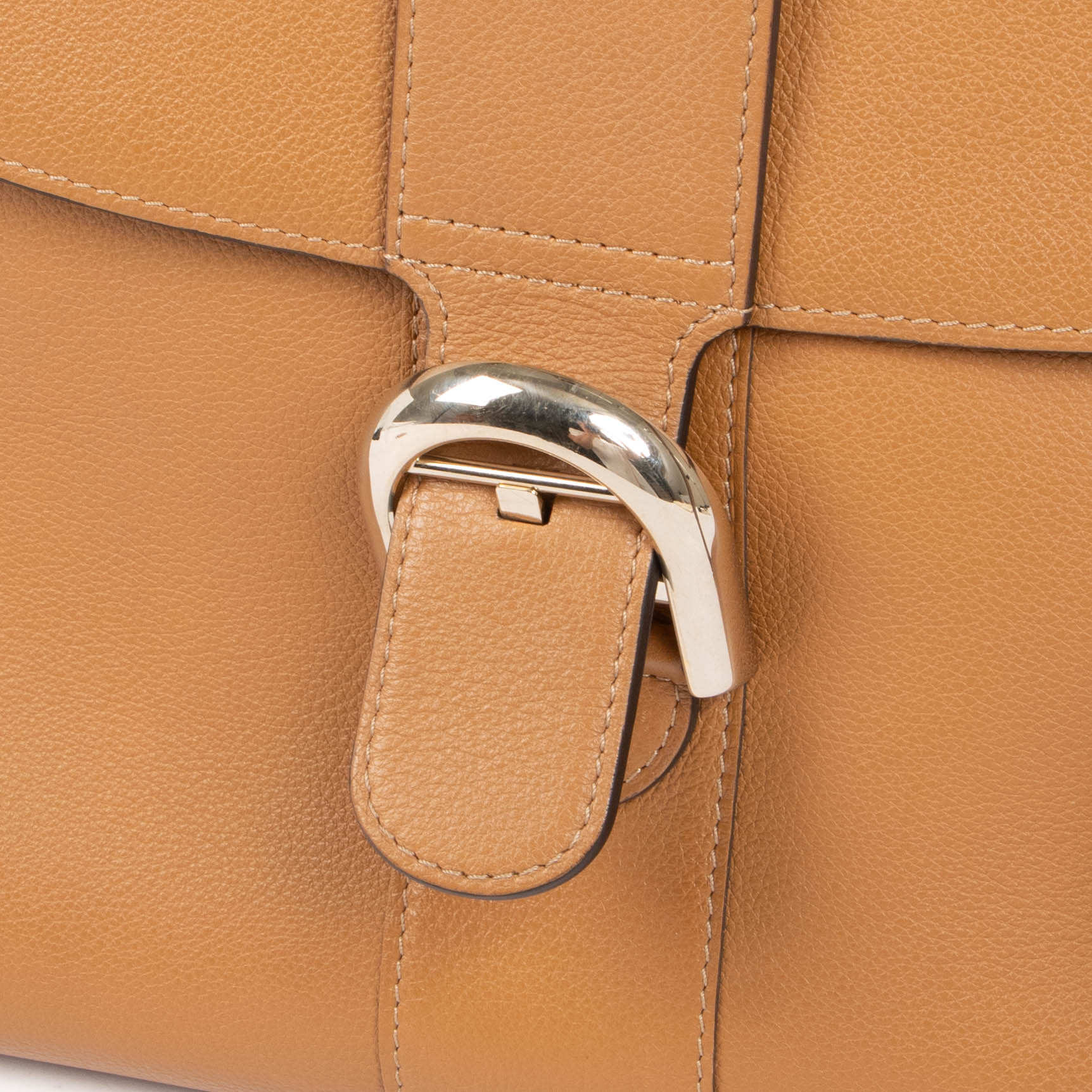 Delvaux Vegetal Sellier Brillant MM Bag