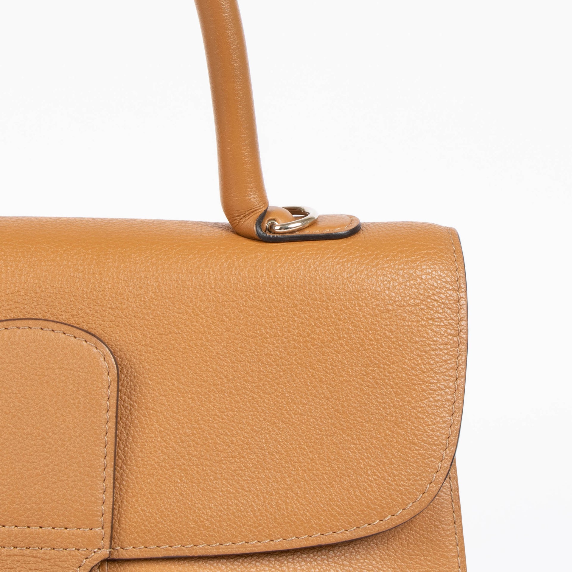 Delvaux Vegetal Sellier Brillant MM Bag
