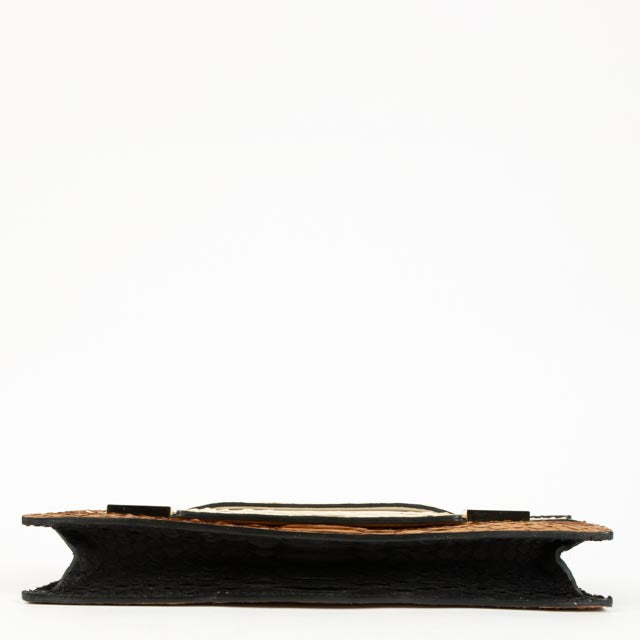 Delvaux Tricolore Python Madame Pochette Clutch