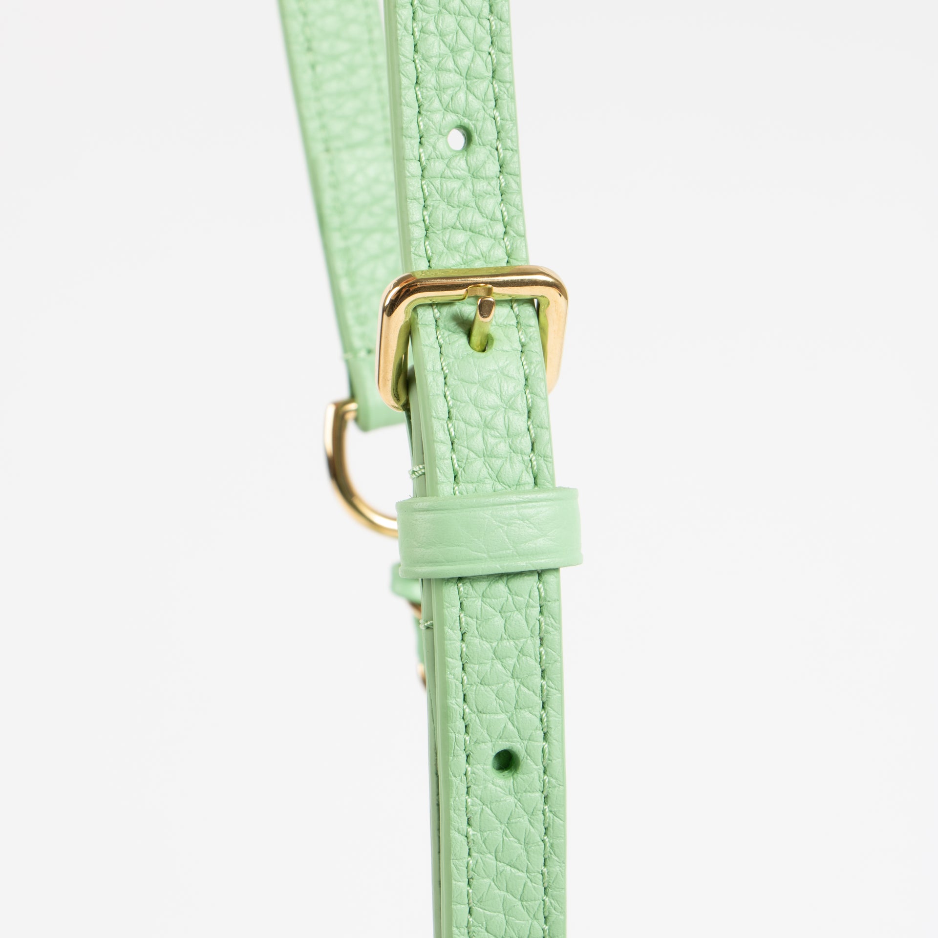Louis Vuitton Vert Pomme Taurillon Capucine Mini Bag