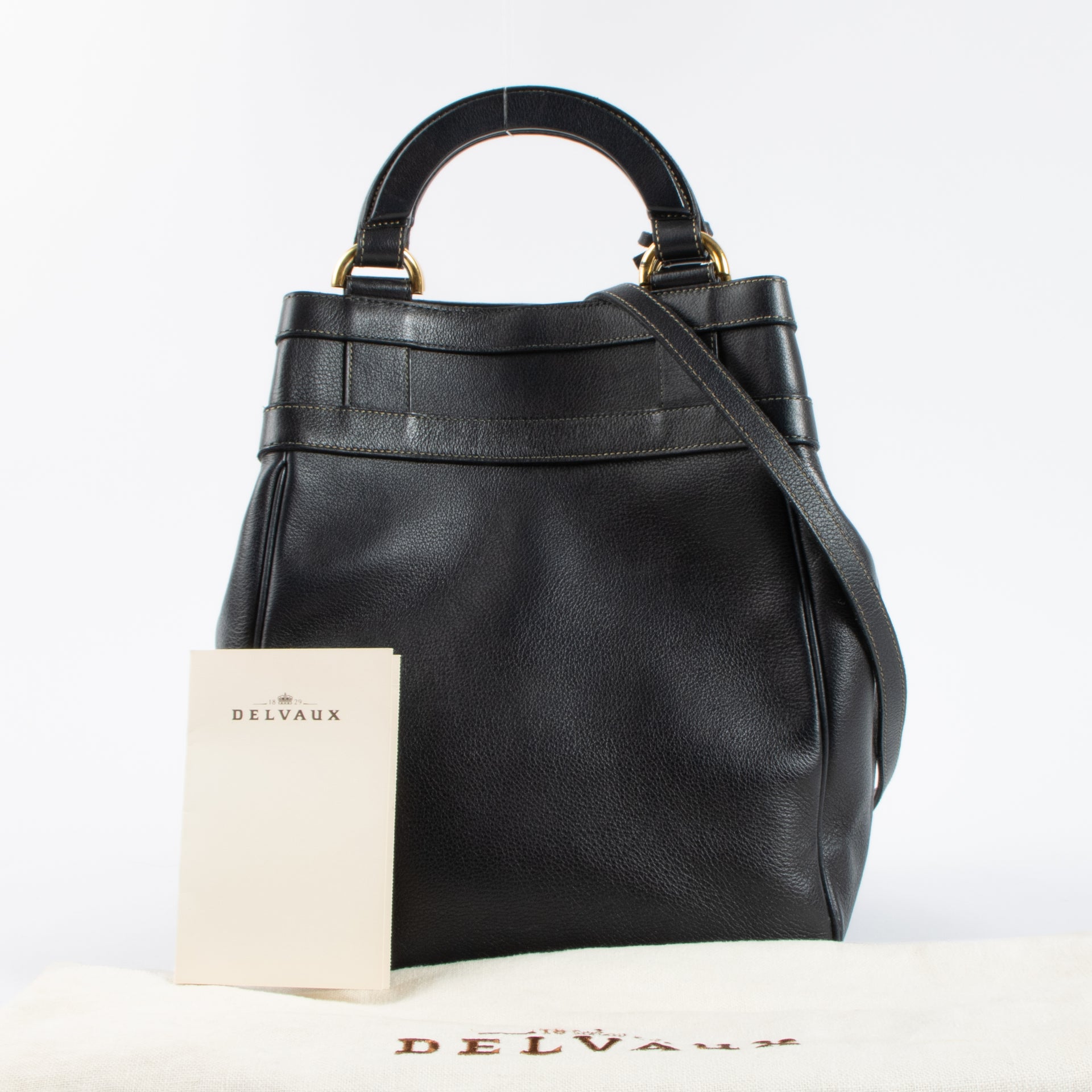 Delvaux Marine Canter Roseau Bag