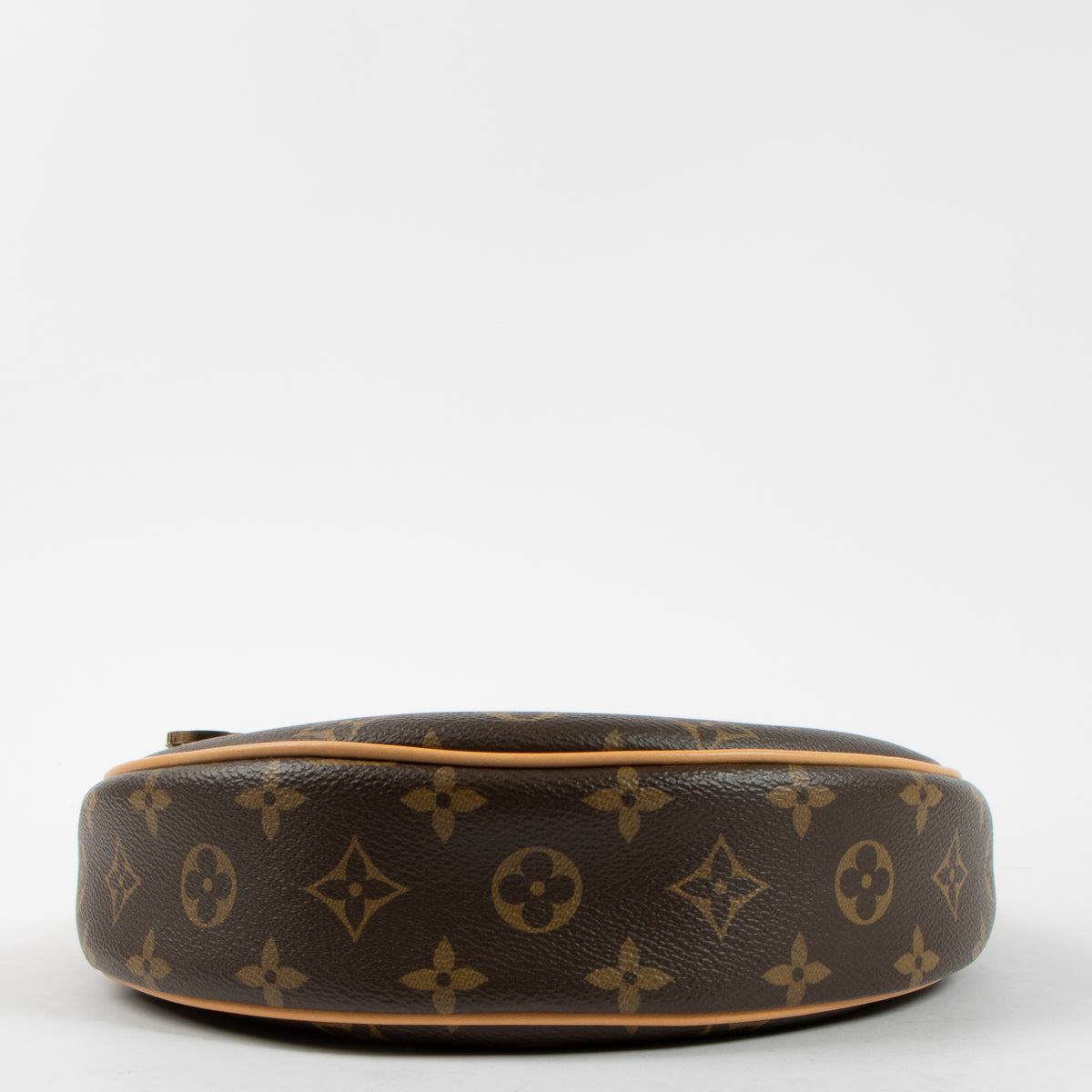 Louis Vuitton Monogram Loop Shoulder Bag