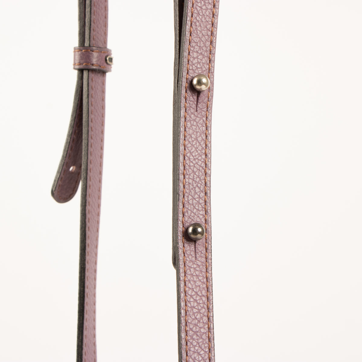 Delvaux Parme Trotteur Cerceau PM Bag/Backpack