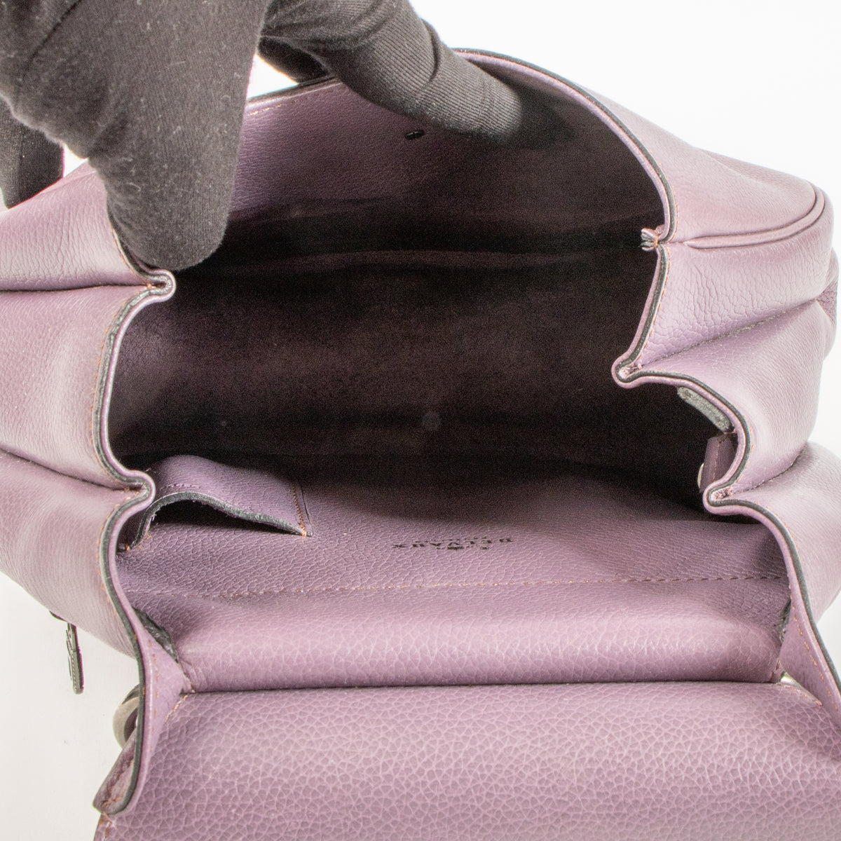 Delvaux Parme Trotteur Cerceau PM Bag/Backpack